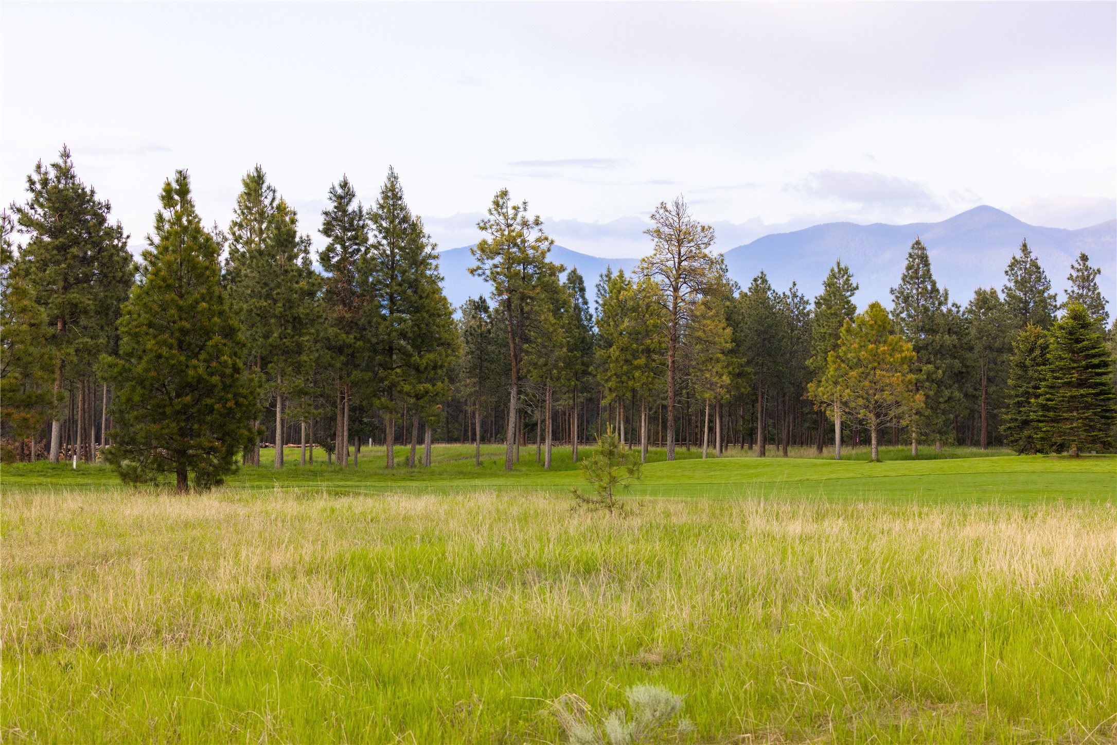 242 Glacier Peaks Road