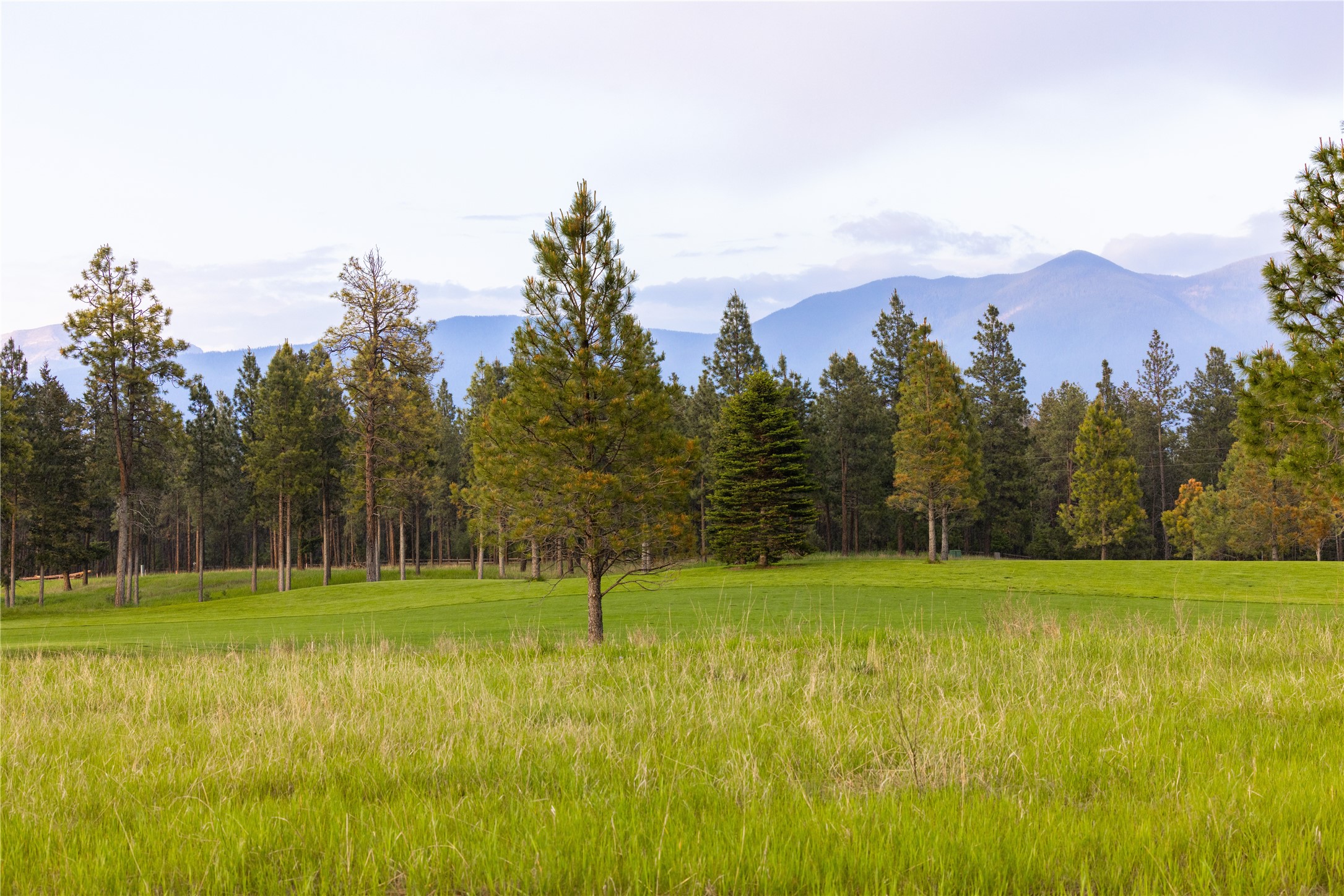 242 Glacier Peaks Road