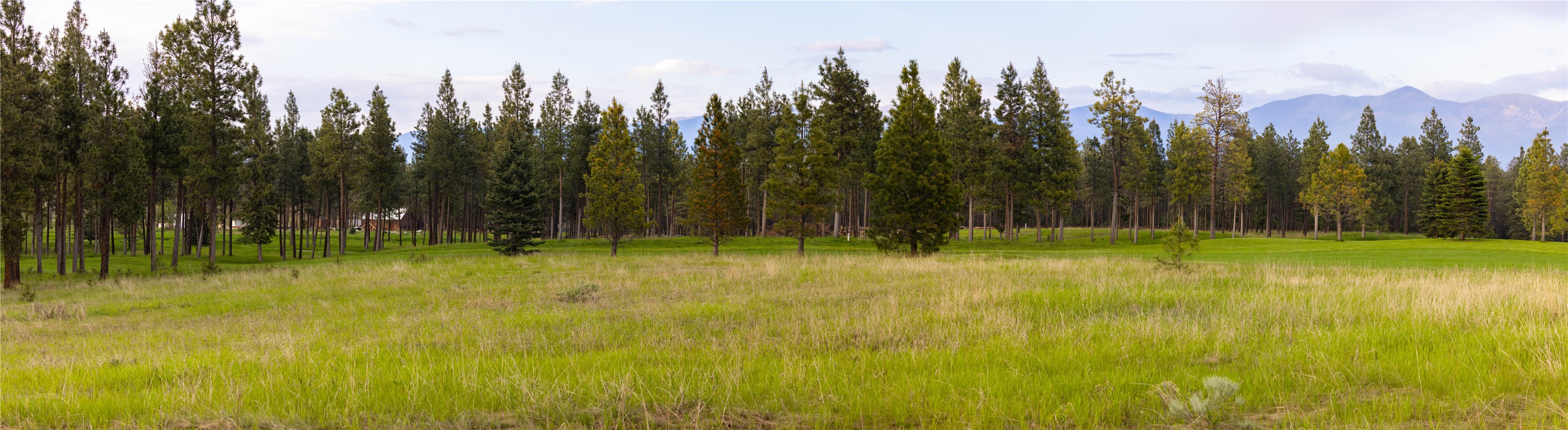 242 Glacier Peaks Road