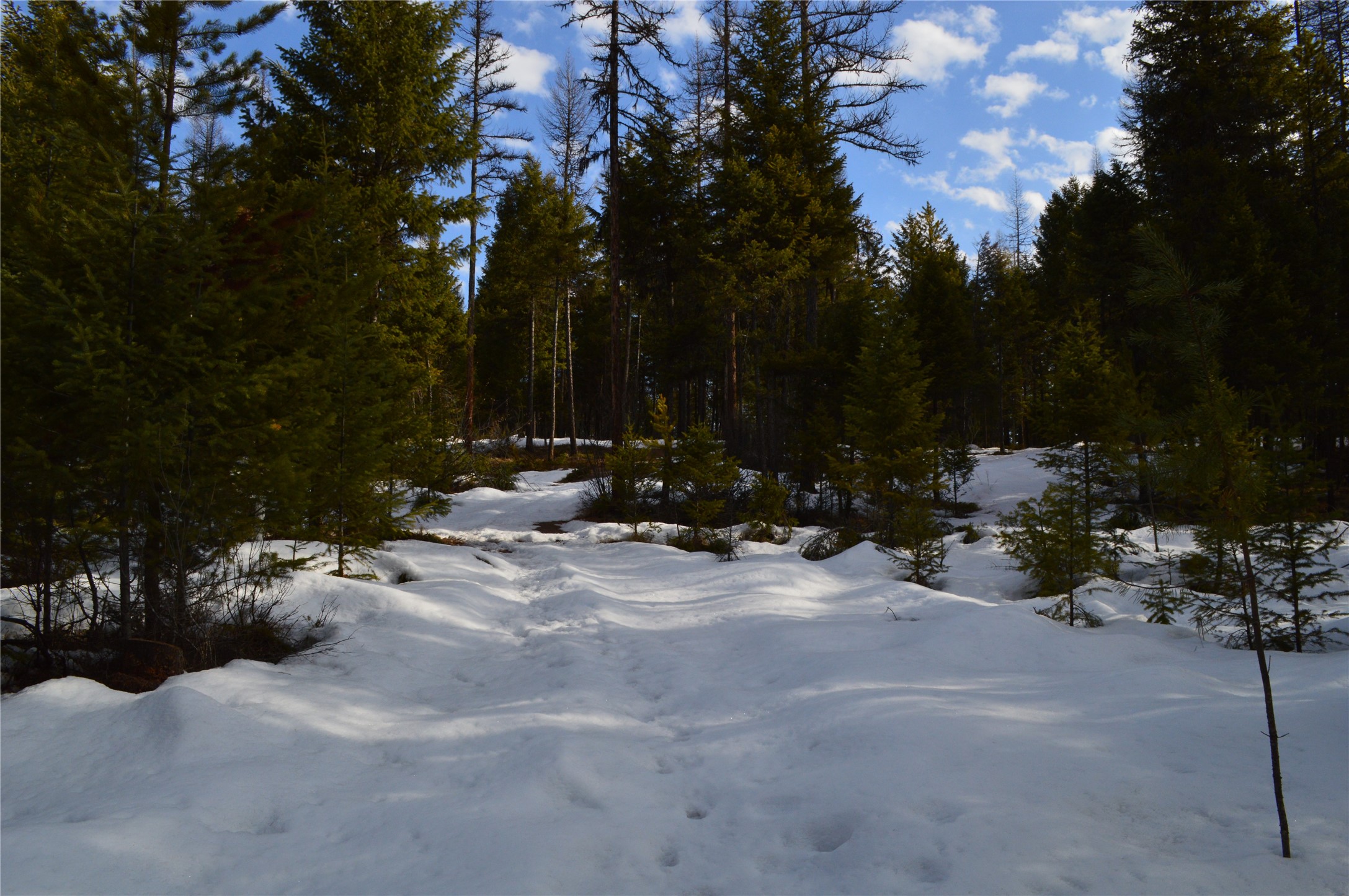 105 Blanchard View Drive