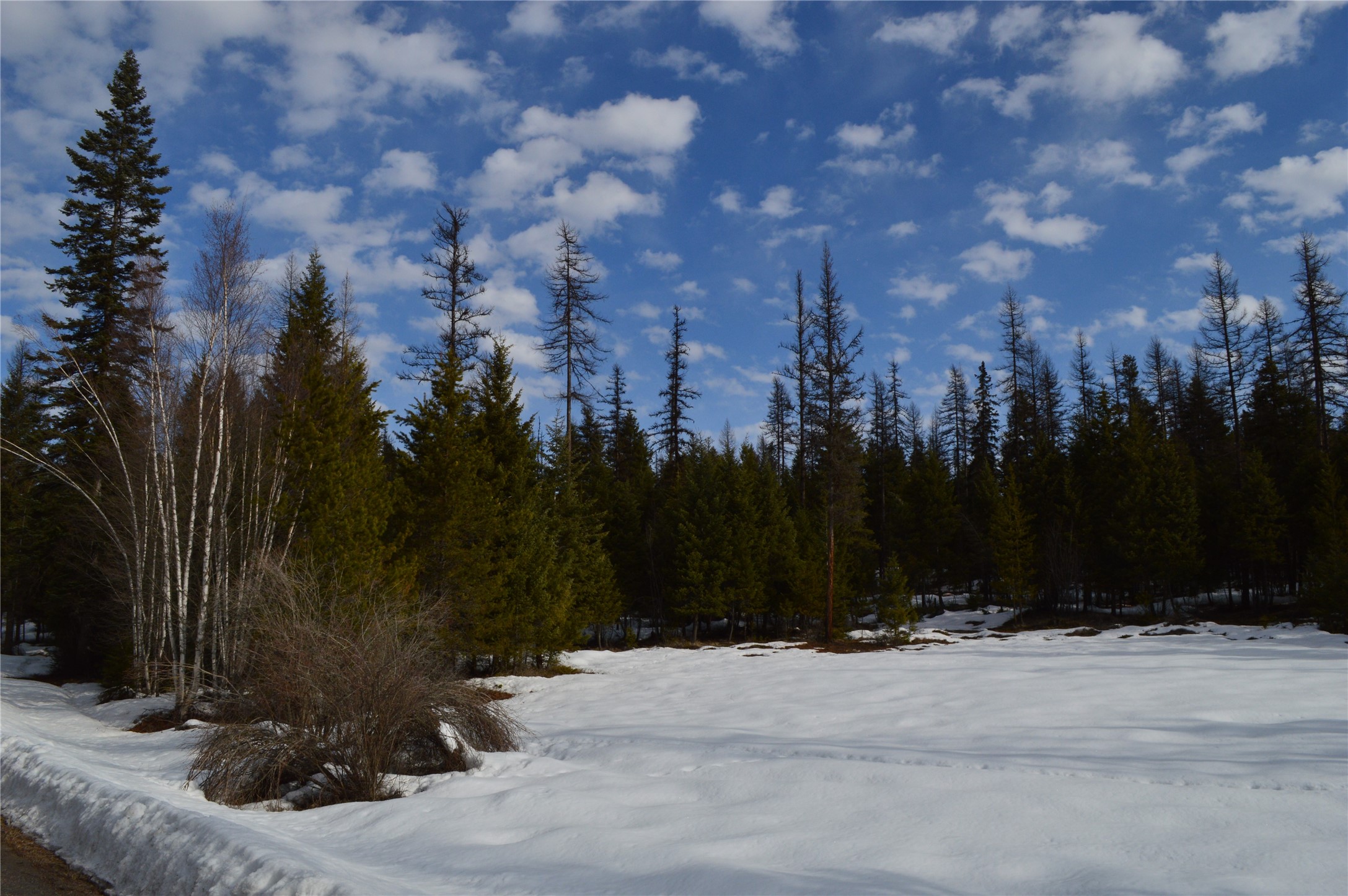 105 Blanchard View Drive