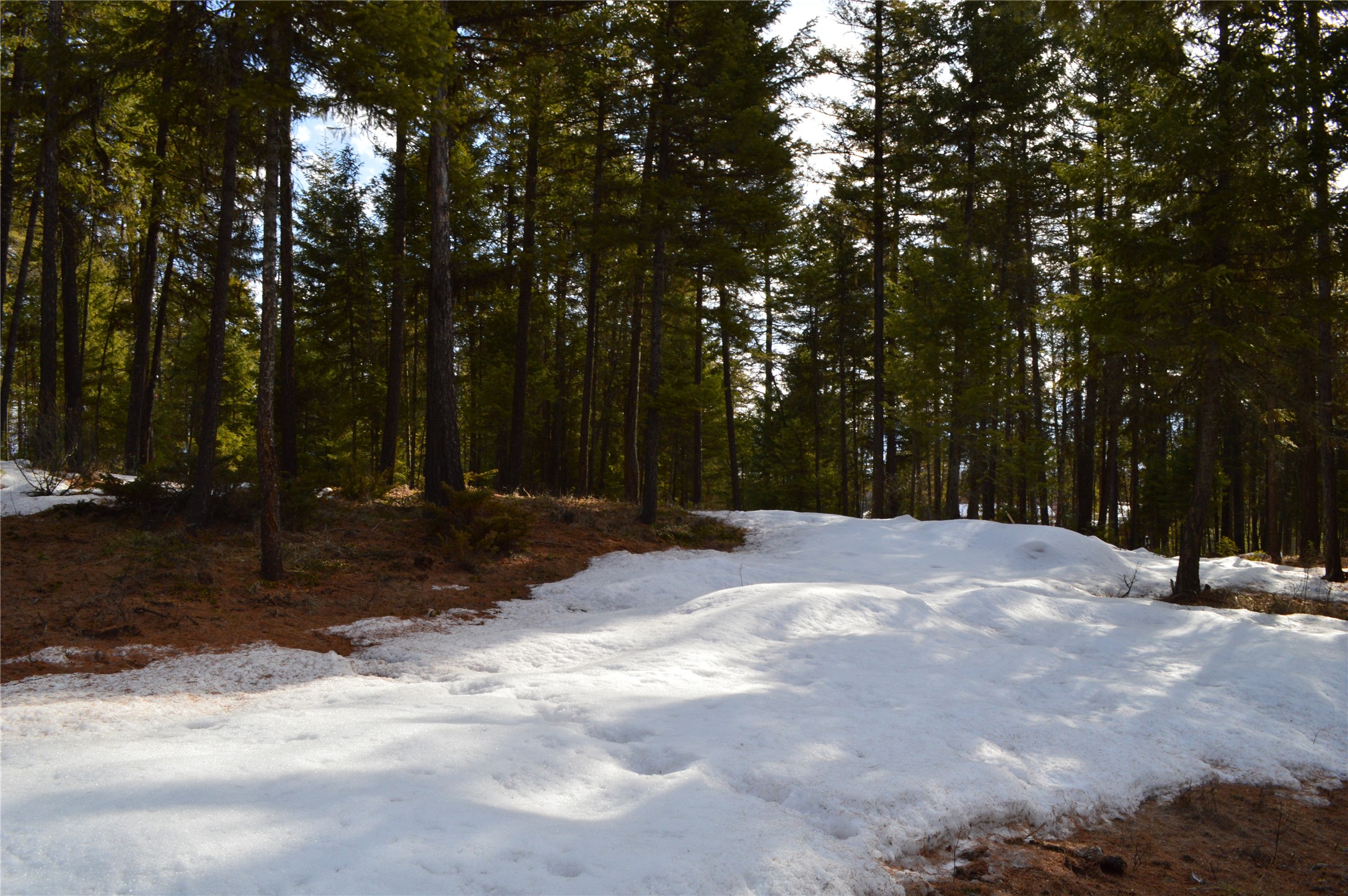 105 Blanchard View Drive