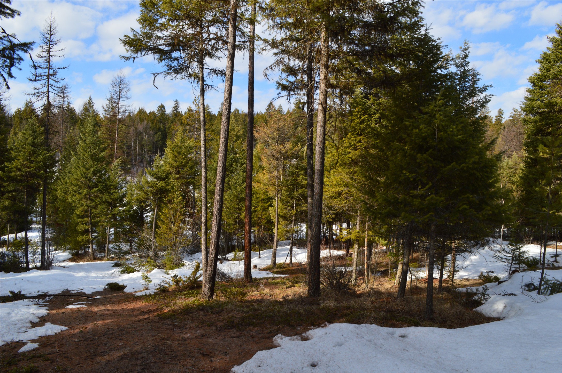 105 Blanchard View Drive