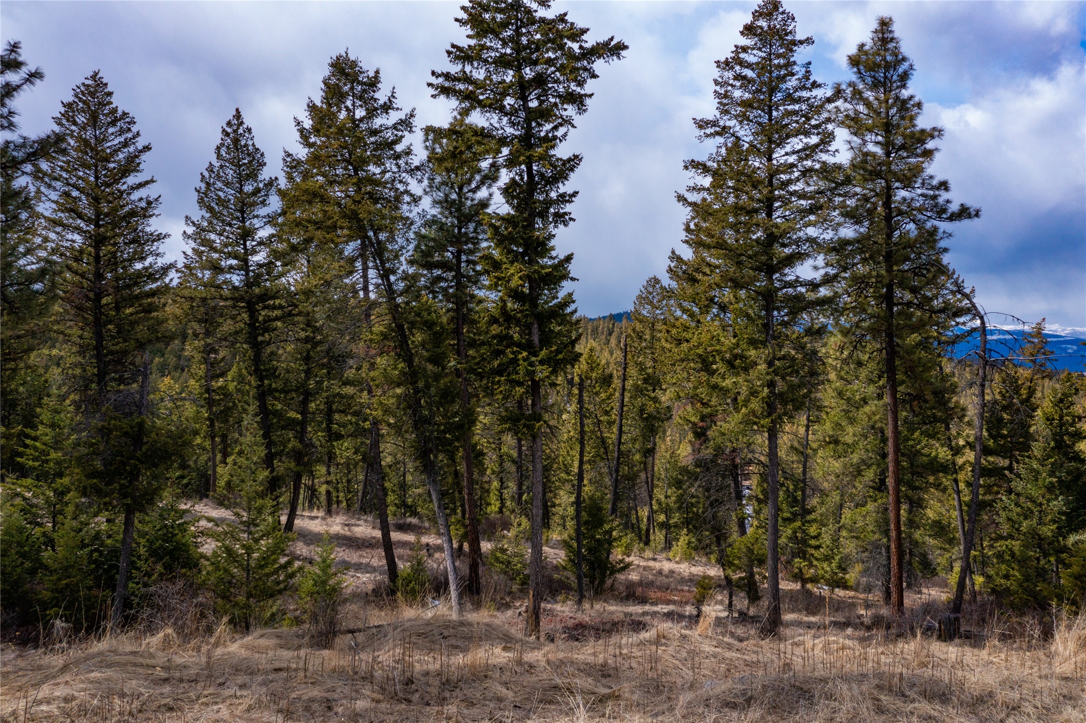 1243 Tobacco Valley View Road