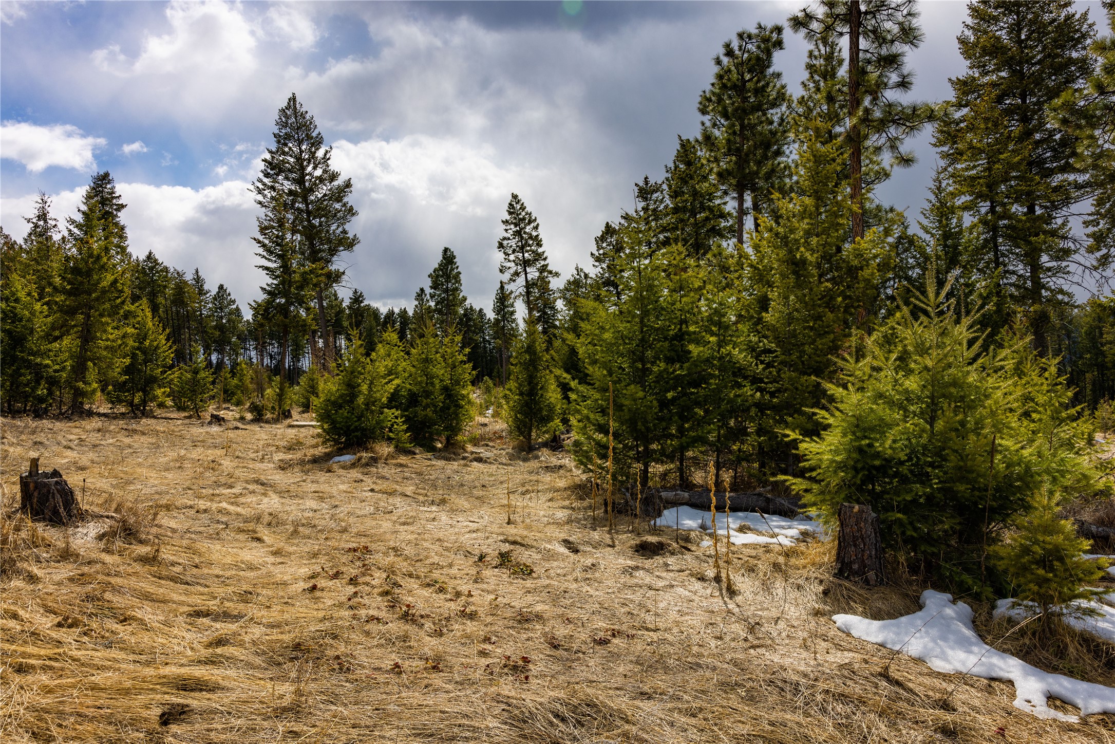 1243 Tobacco Valley View Road