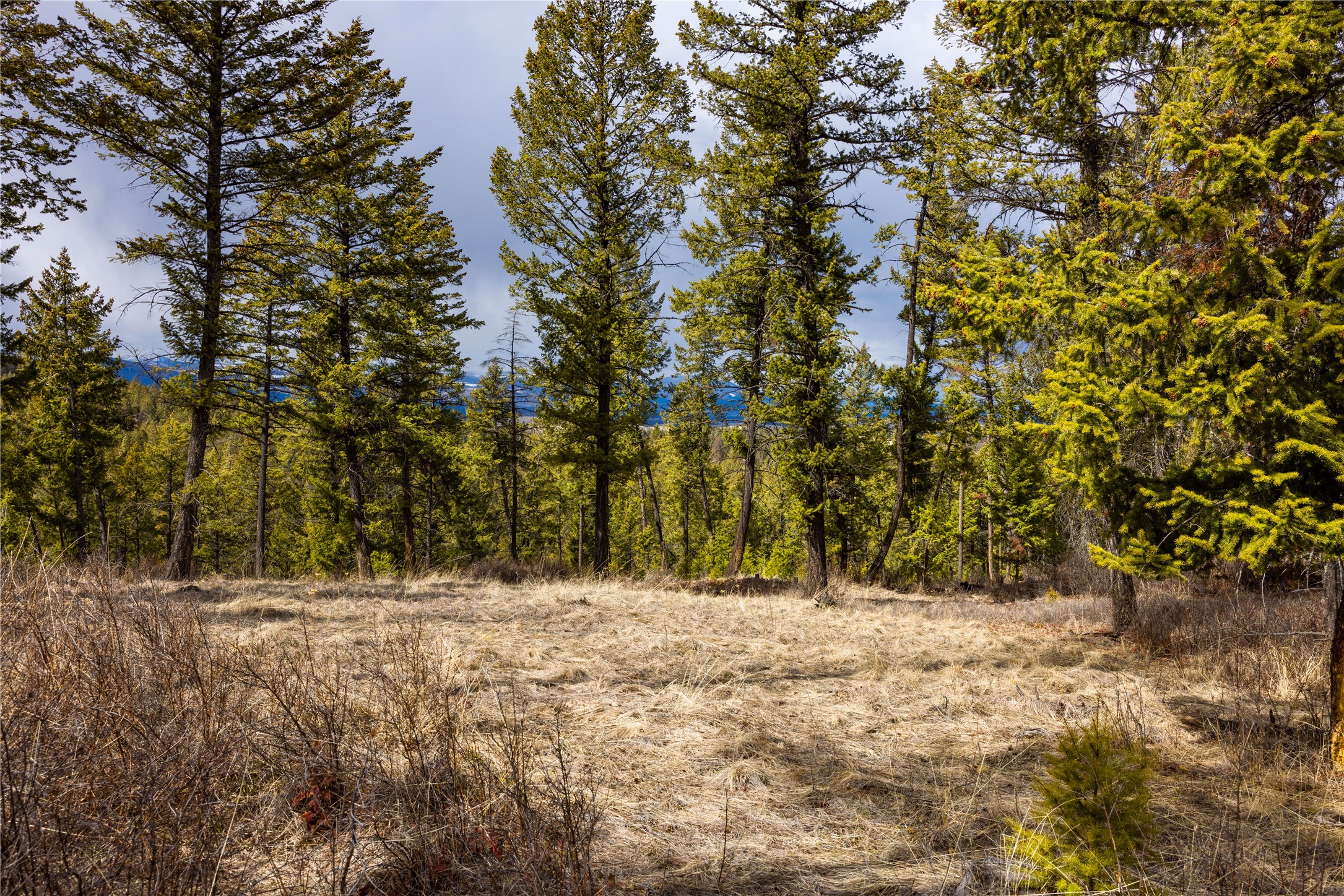 1243 Tobacco Valley View Road