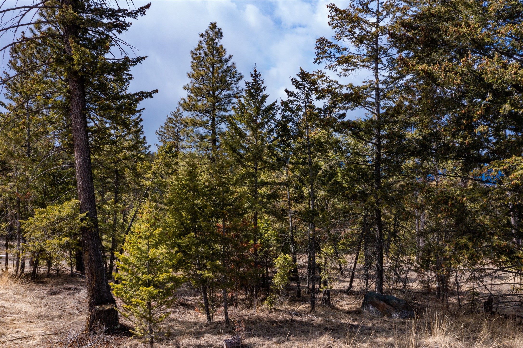 1243 Tobacco Valley View Road