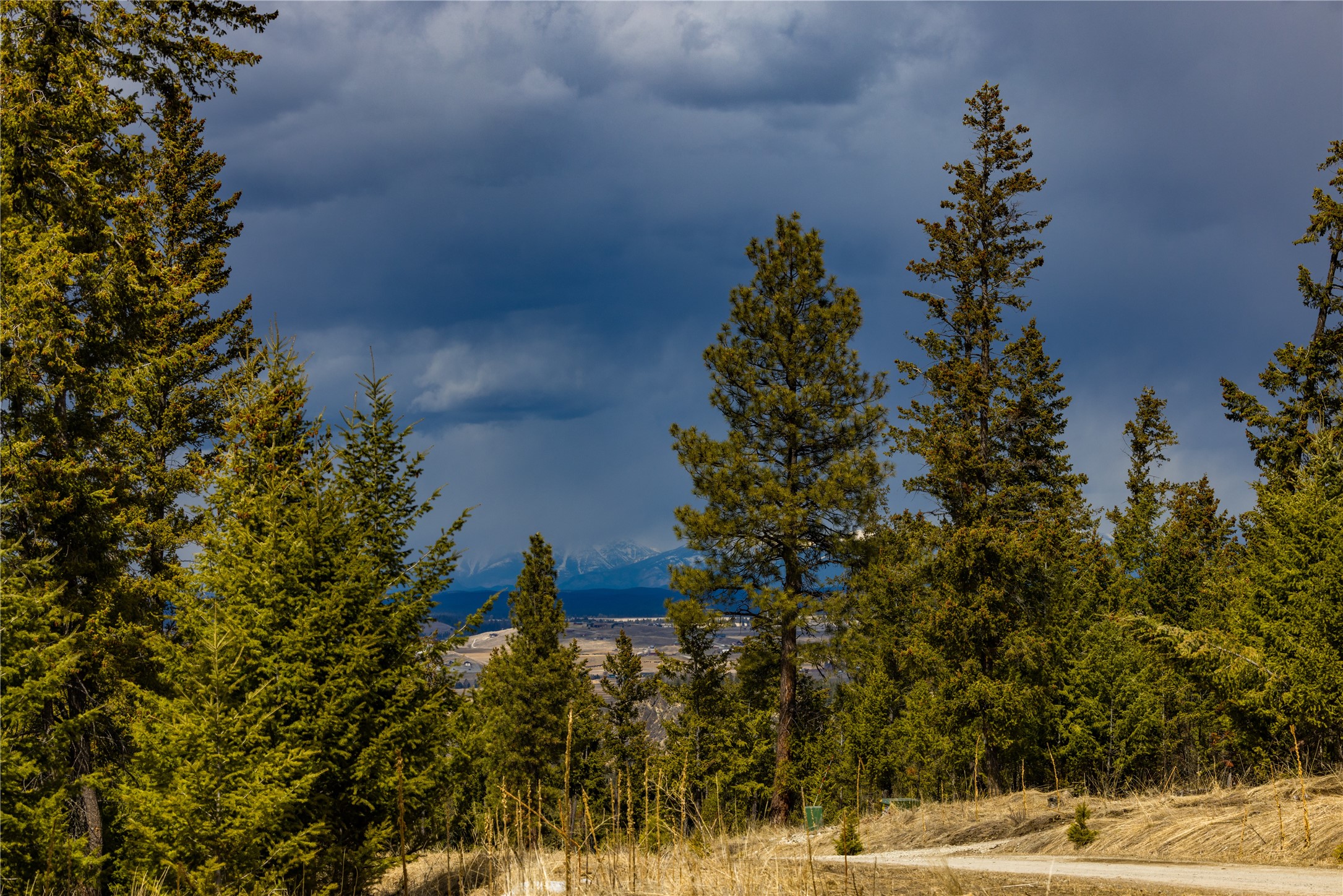 1243 Tobacco Valley View Road