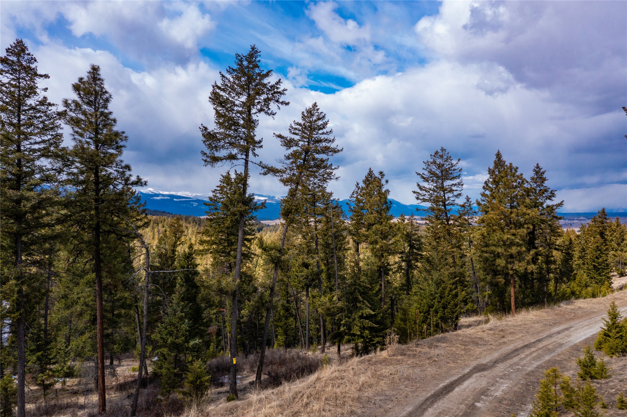 1243 Tobacco Valley View Road