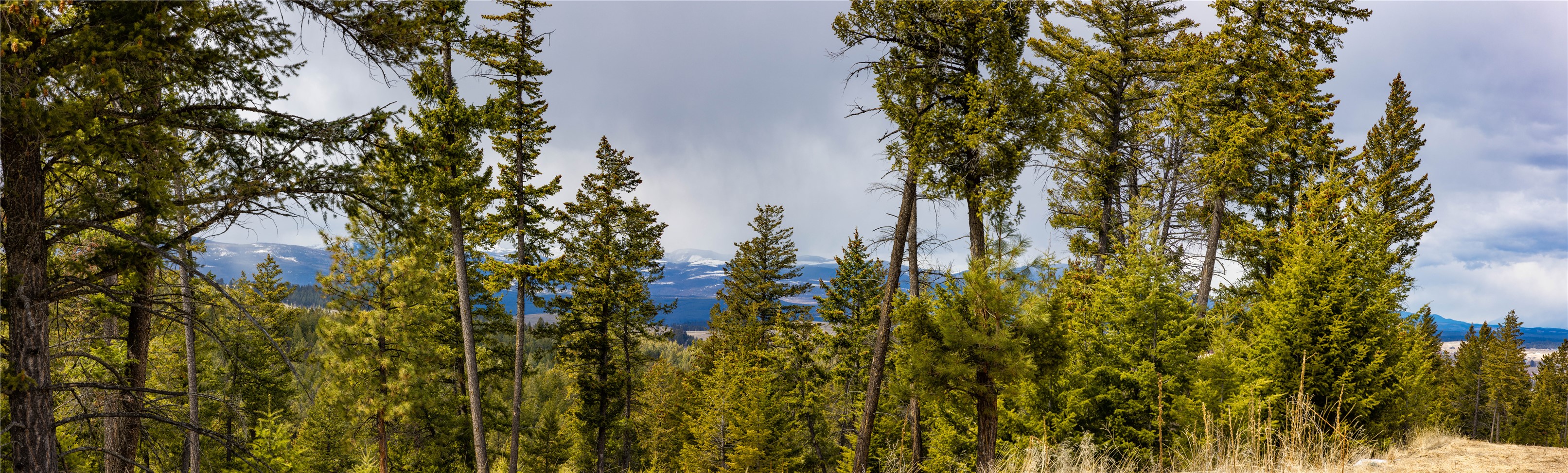 1243 Tobacco Valley View Road