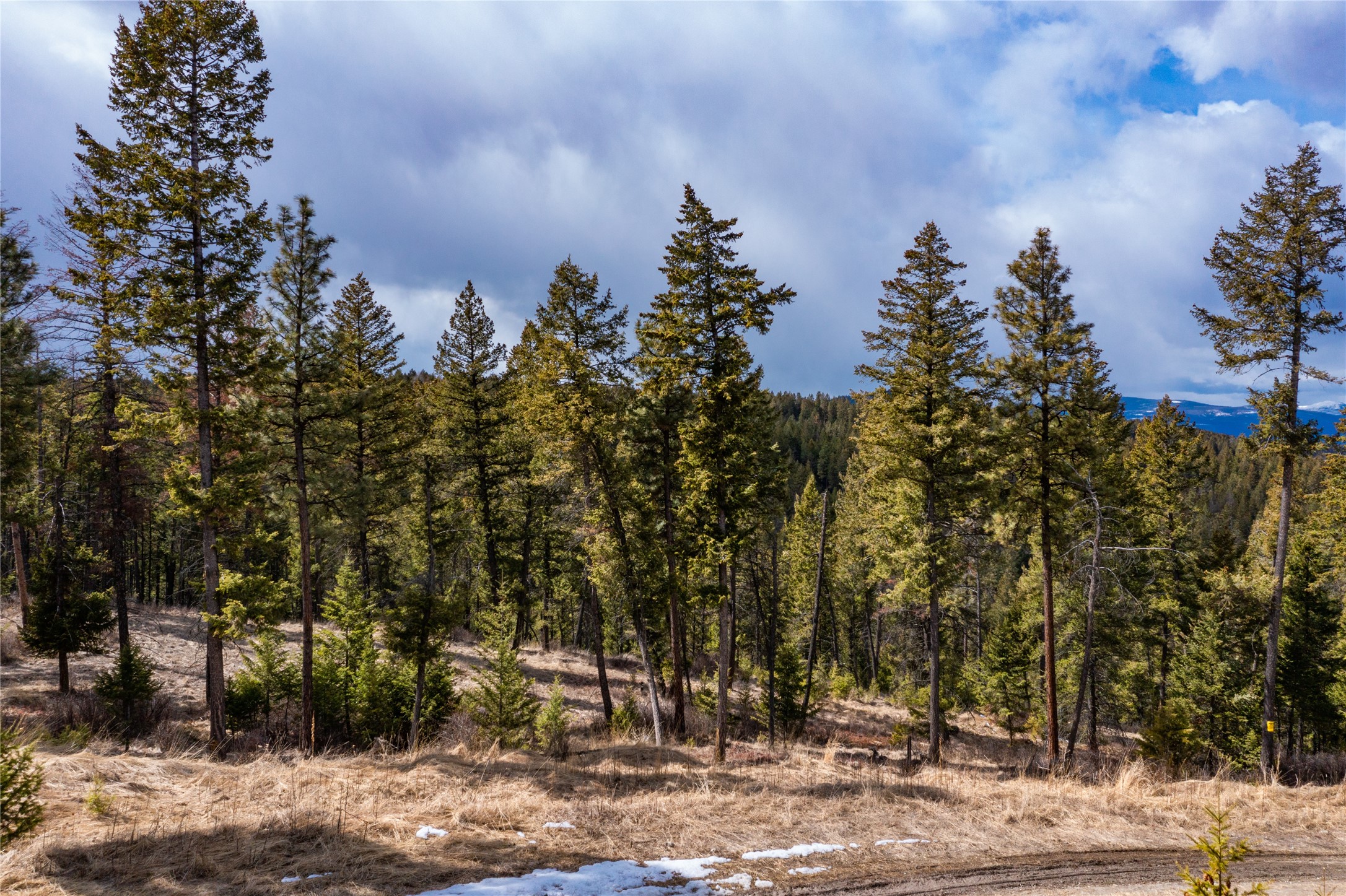 1243 Tobacco Valley View Road