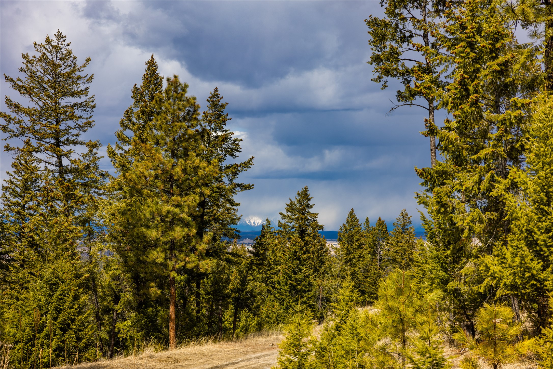 1243 Tobacco Valley View Road