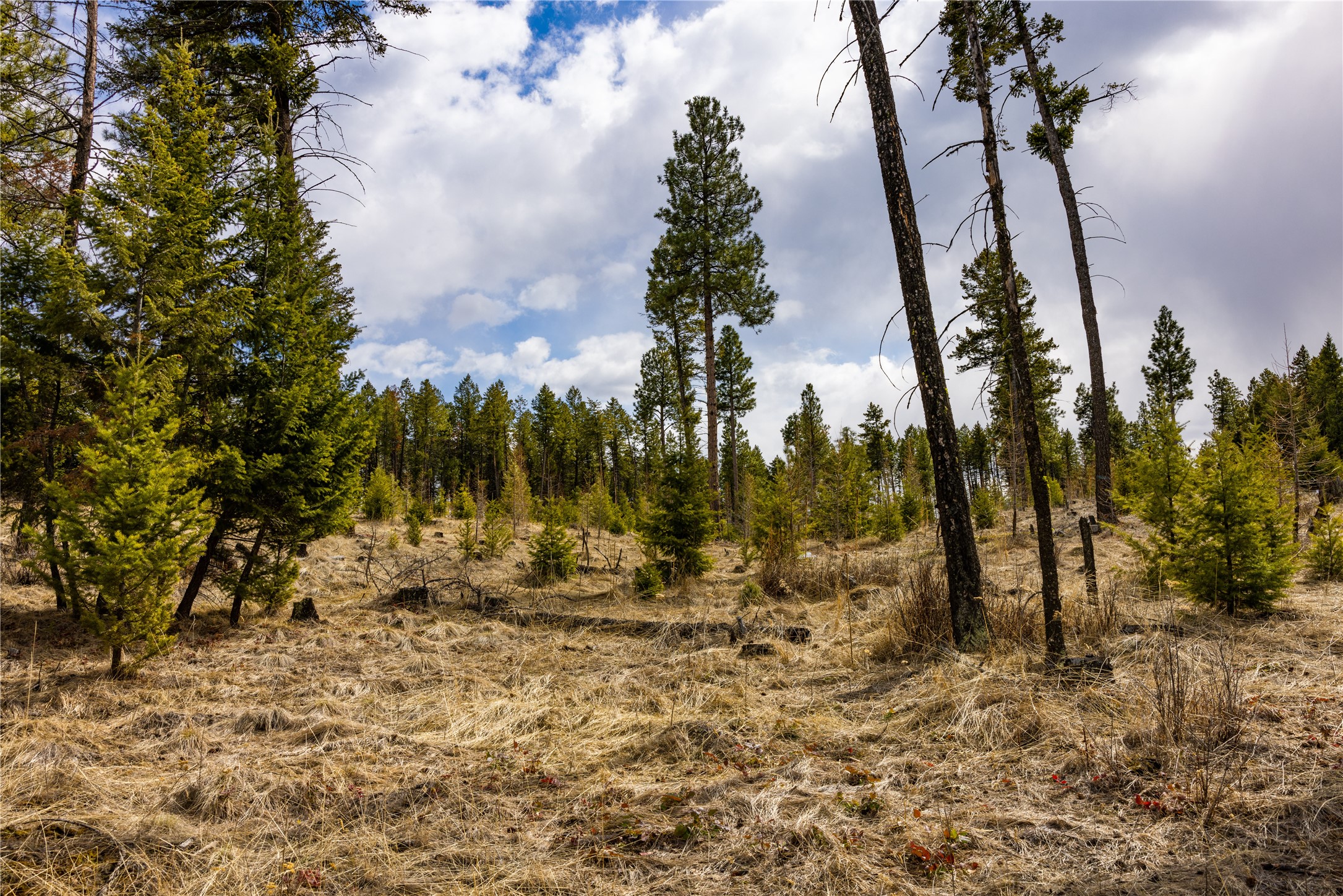 1243 Tobacco Valley View Road