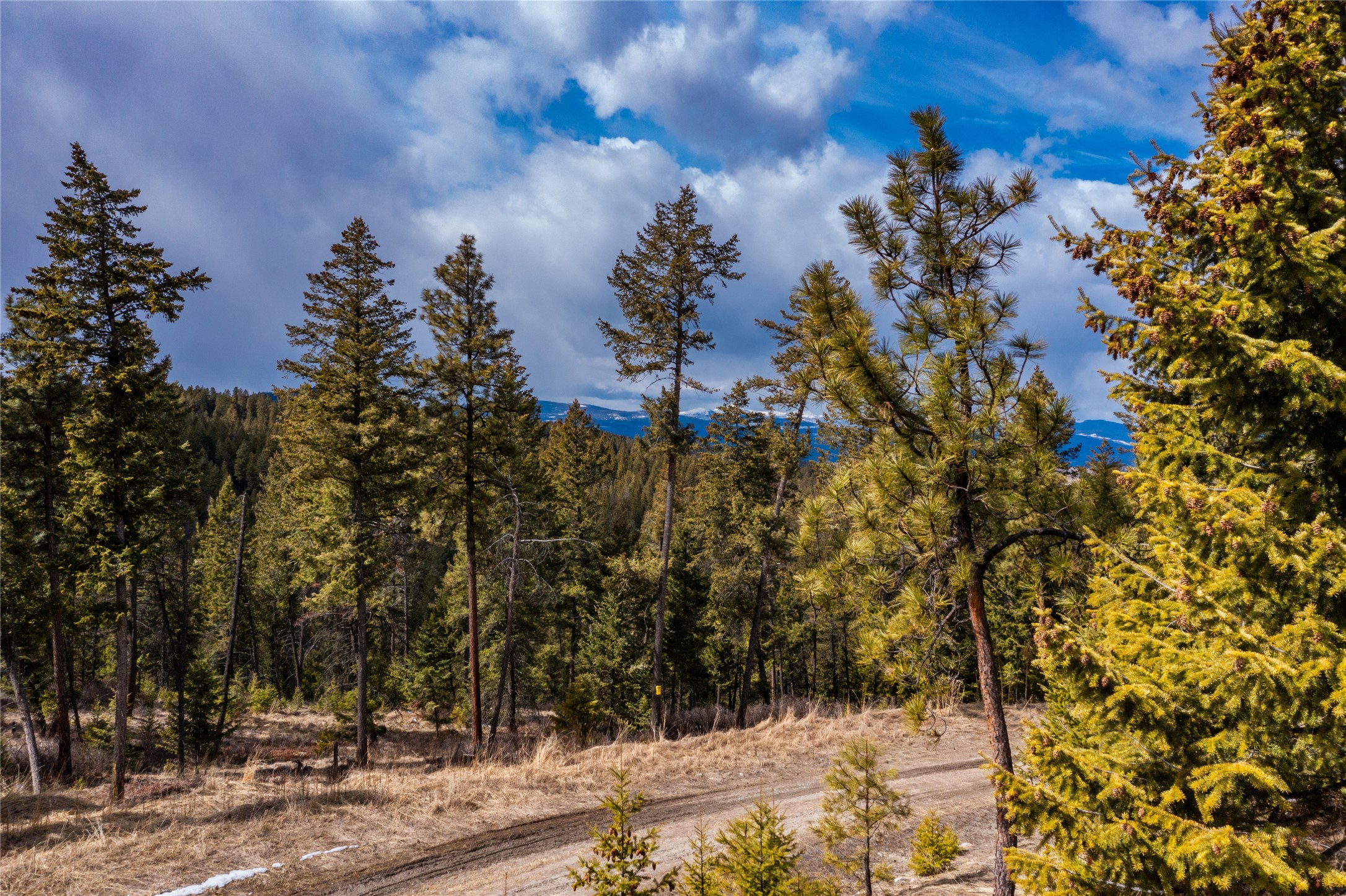 1243 Tobacco Valley View Road