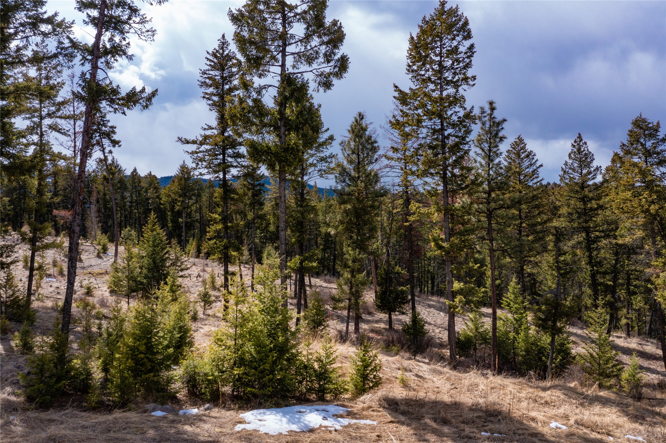 1243 Tobacco Valley View Road