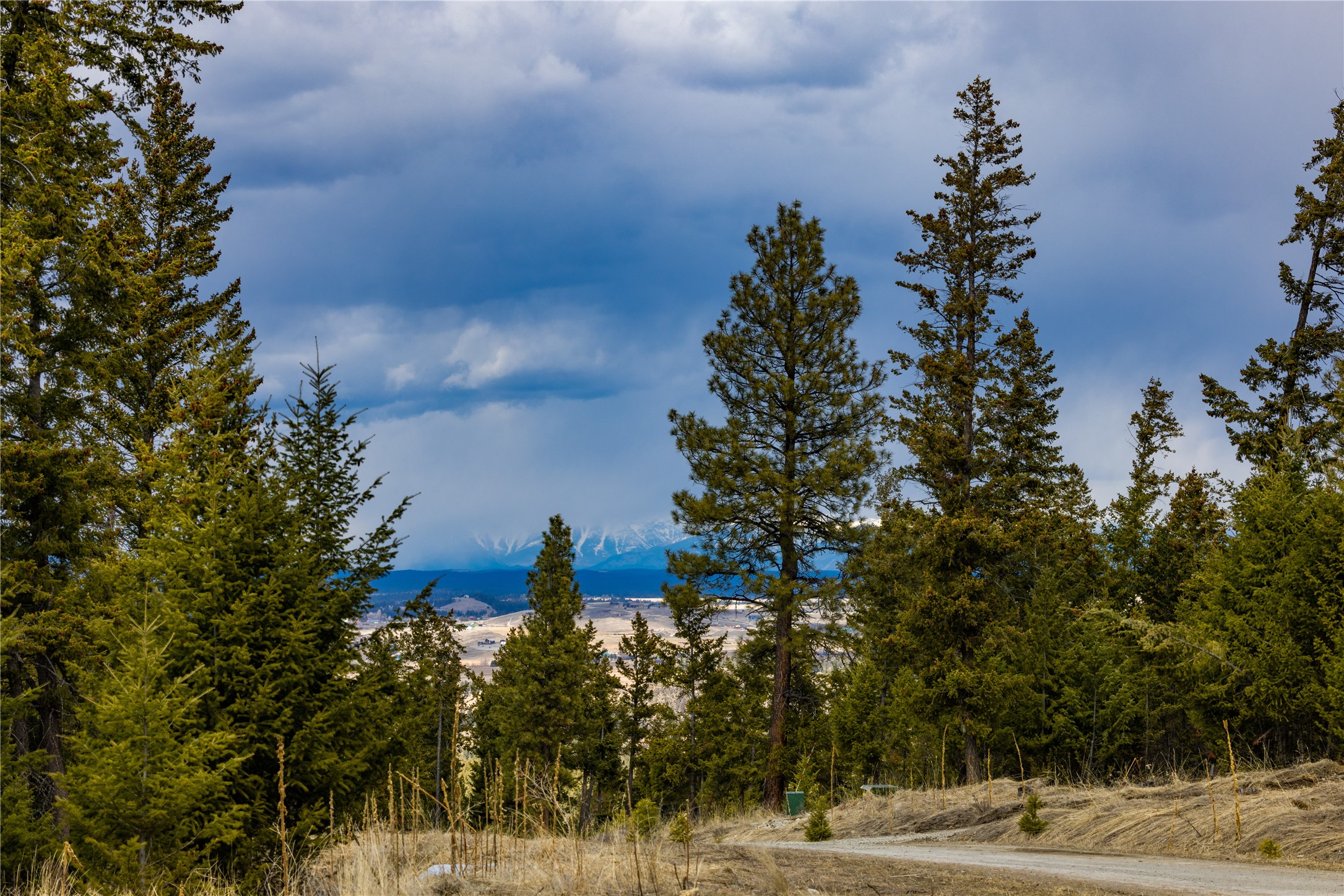 1243 Tobacco Valley View Road