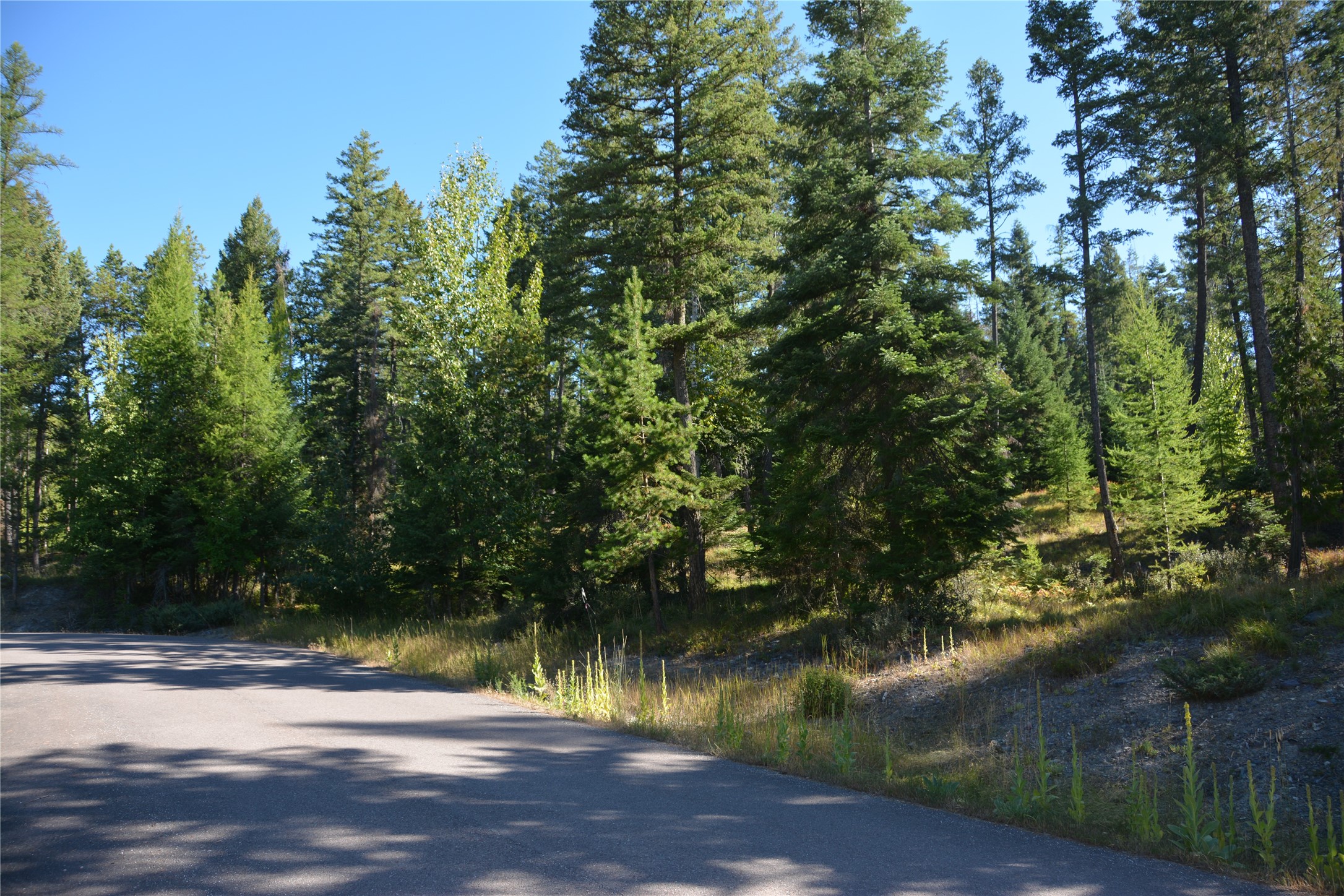 279 Hidden Hills Lane