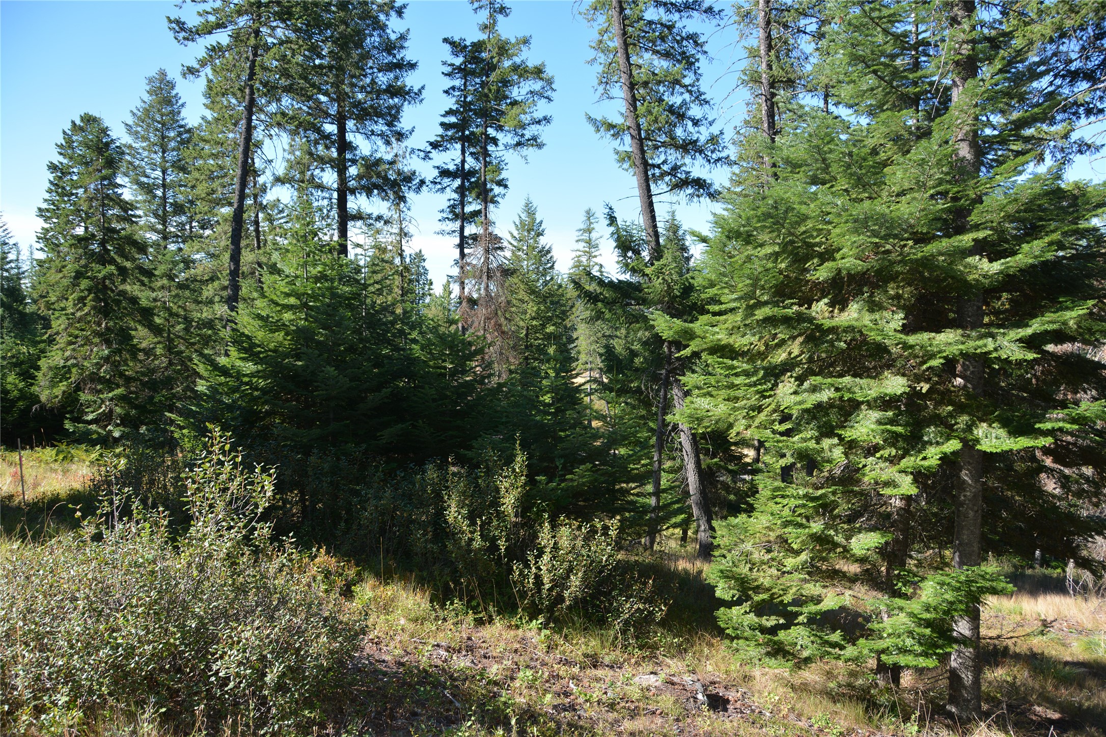 279 Hidden Hills Lane