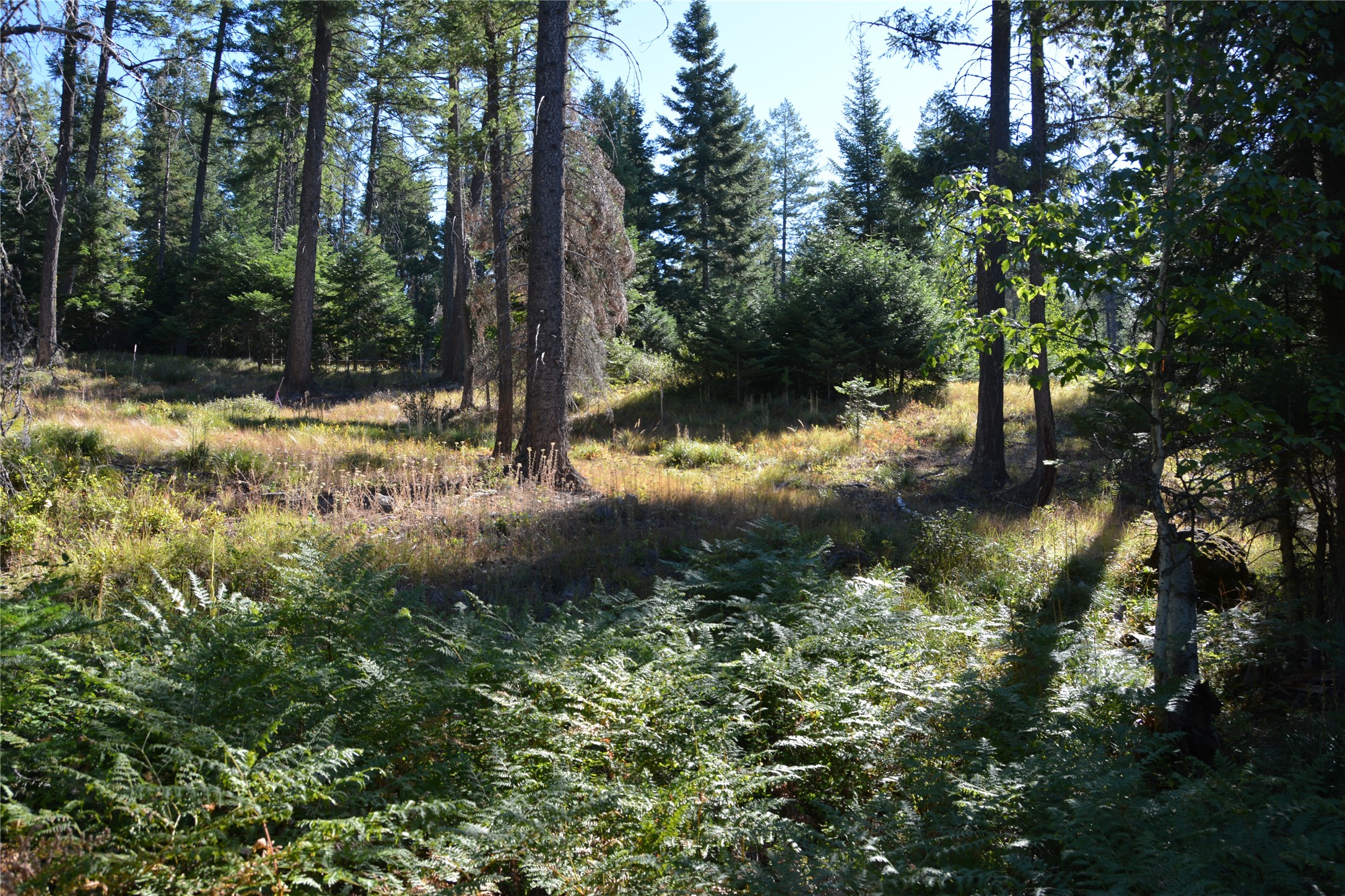 279 Hidden Hills Lane