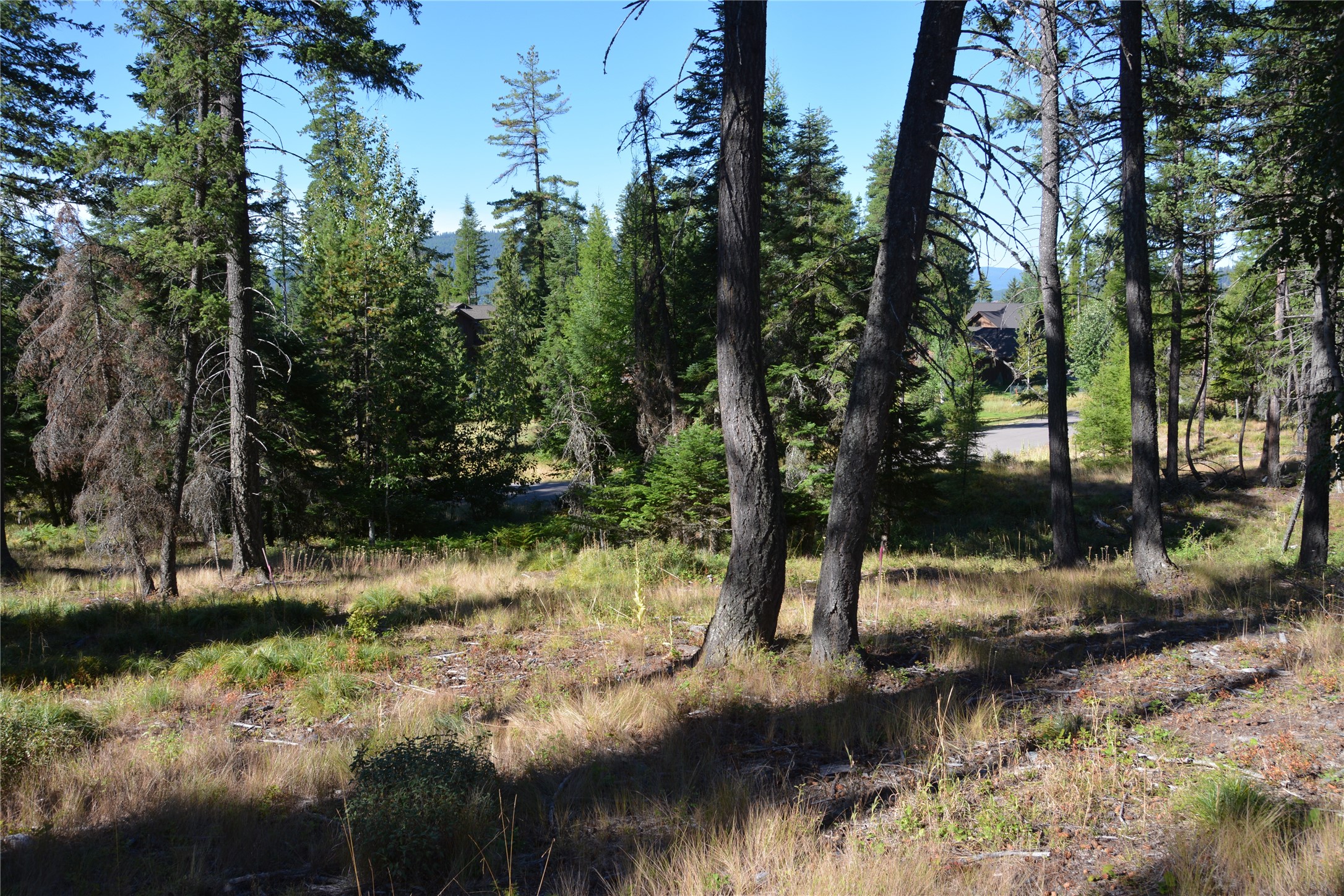 279 Hidden Hills Lane