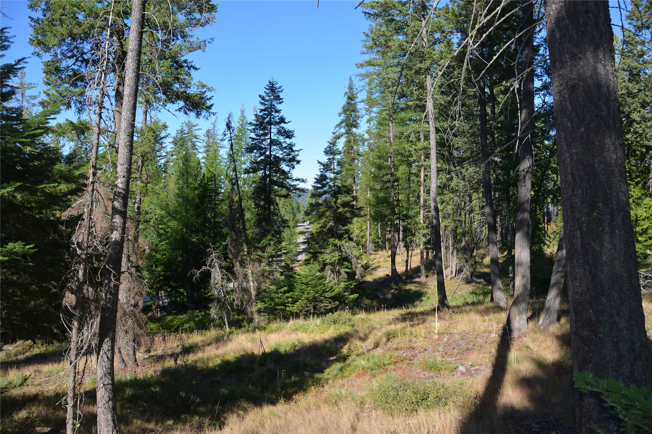 279 Hidden Hills Lane