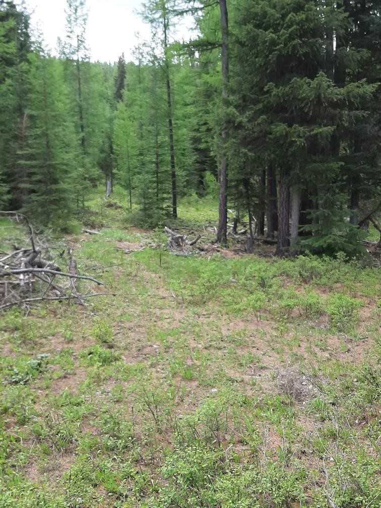 Lot 3 Butcher Creek Road