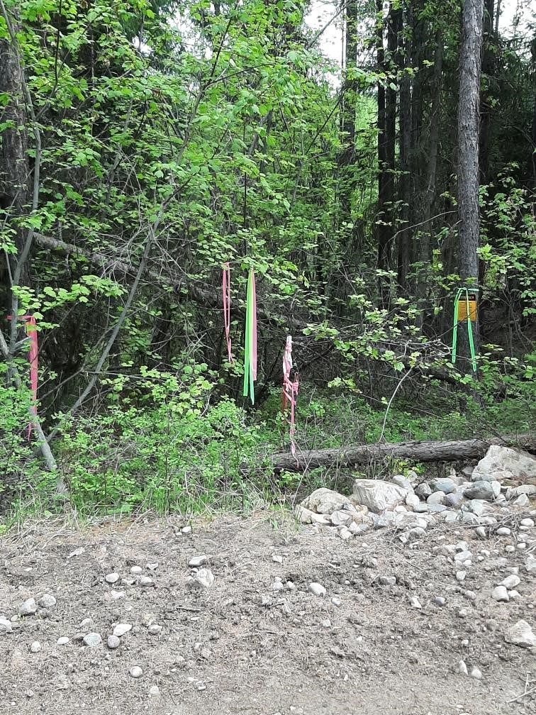 Lot 3 Butcher Creek Road