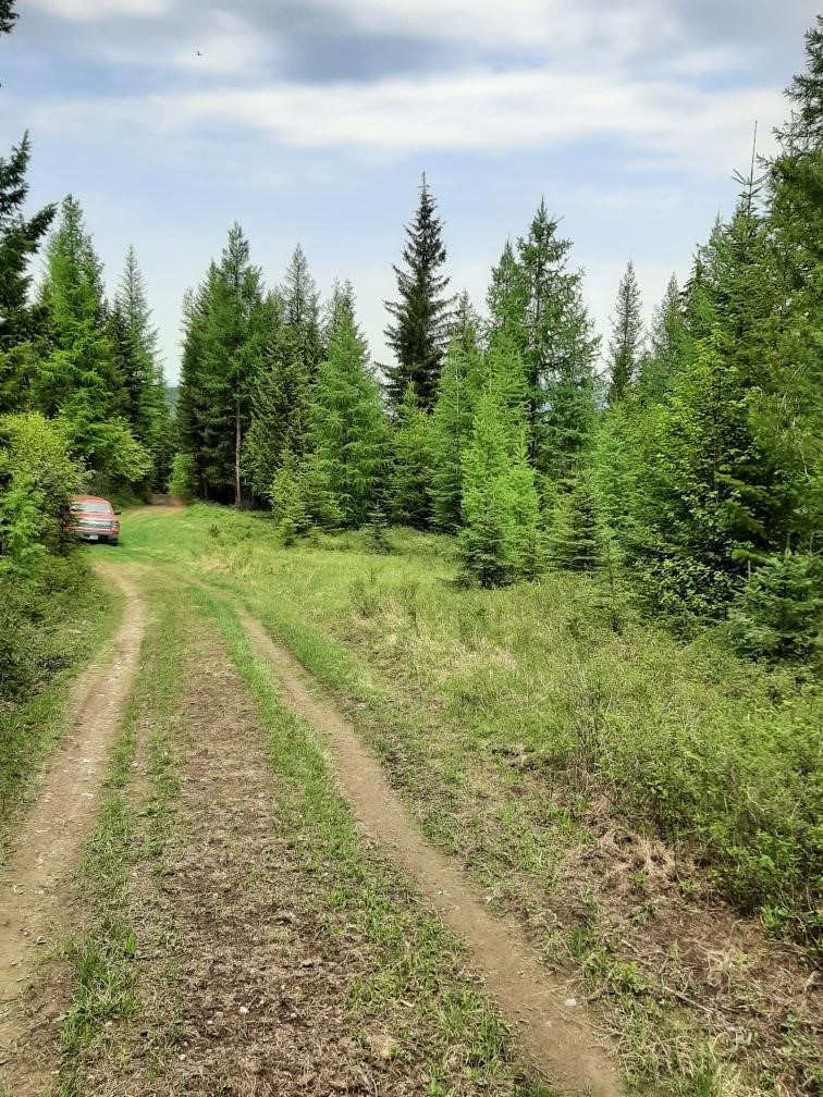 Lot 3 Butcher Creek Road