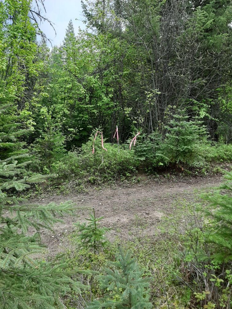 Lot 3 Butcher Creek Road