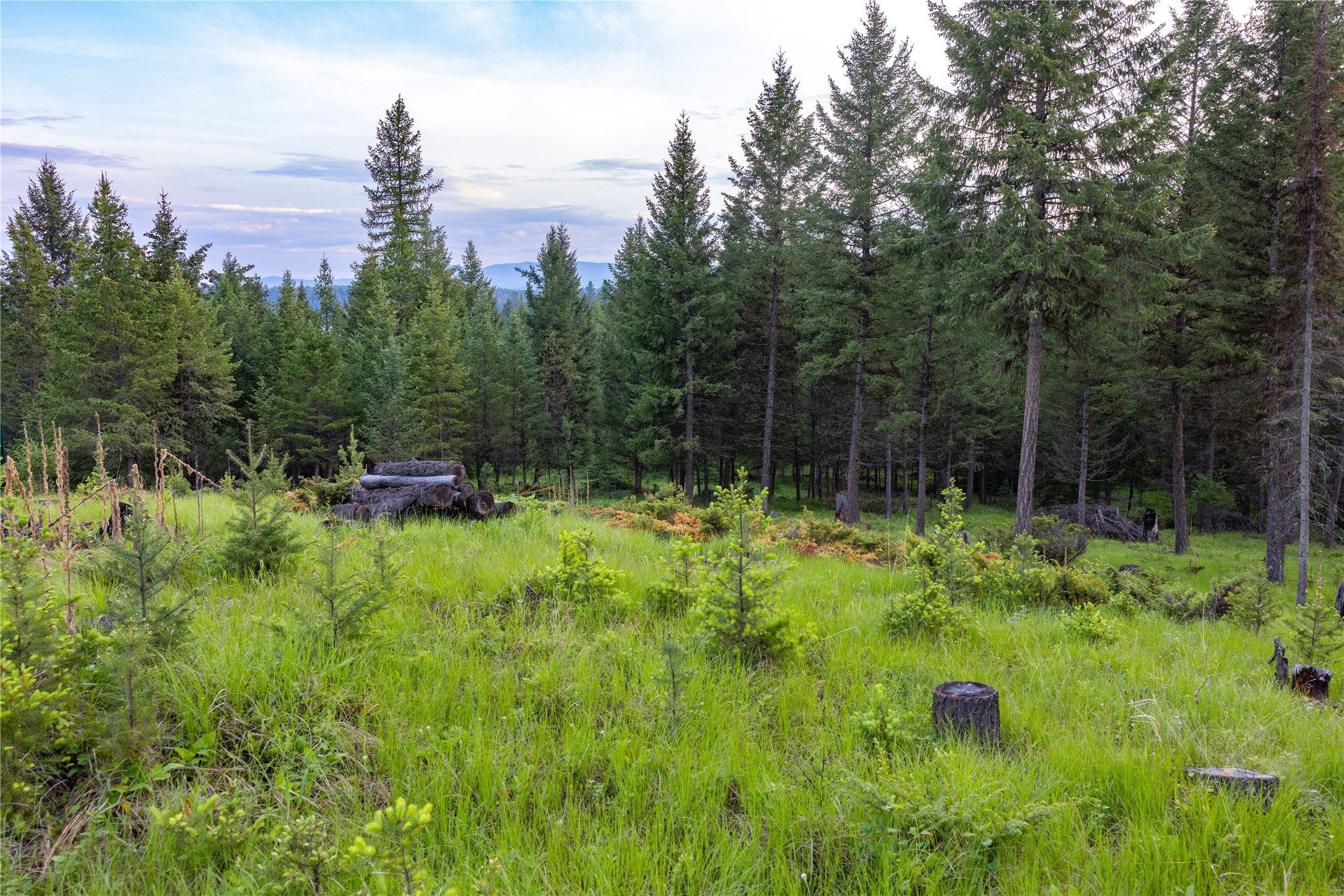 4736 Sinclair Creek Drive