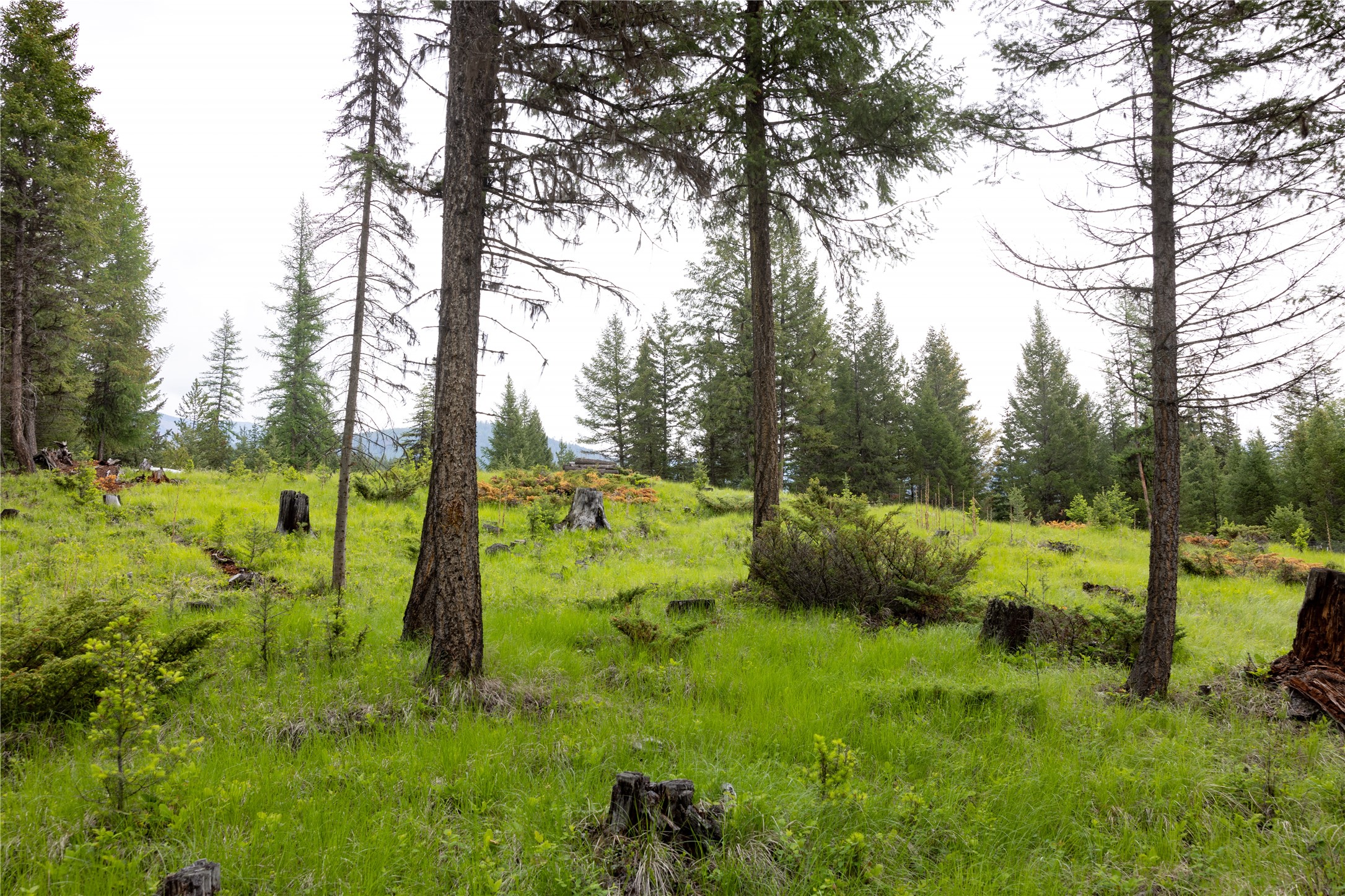 4736 Sinclair Creek Drive