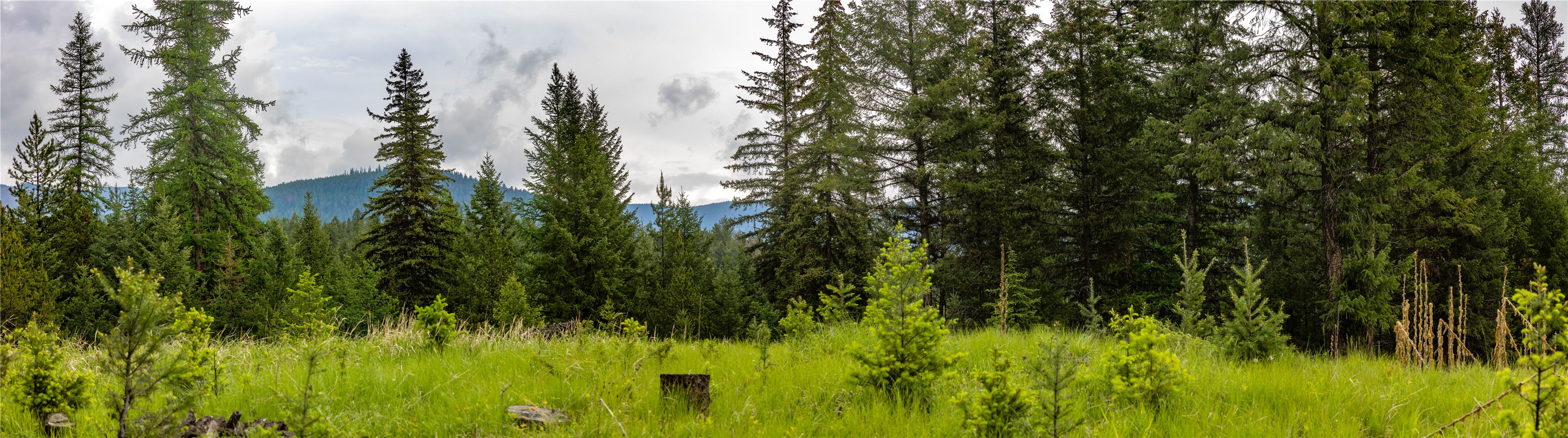 4736 Sinclair Creek Drive