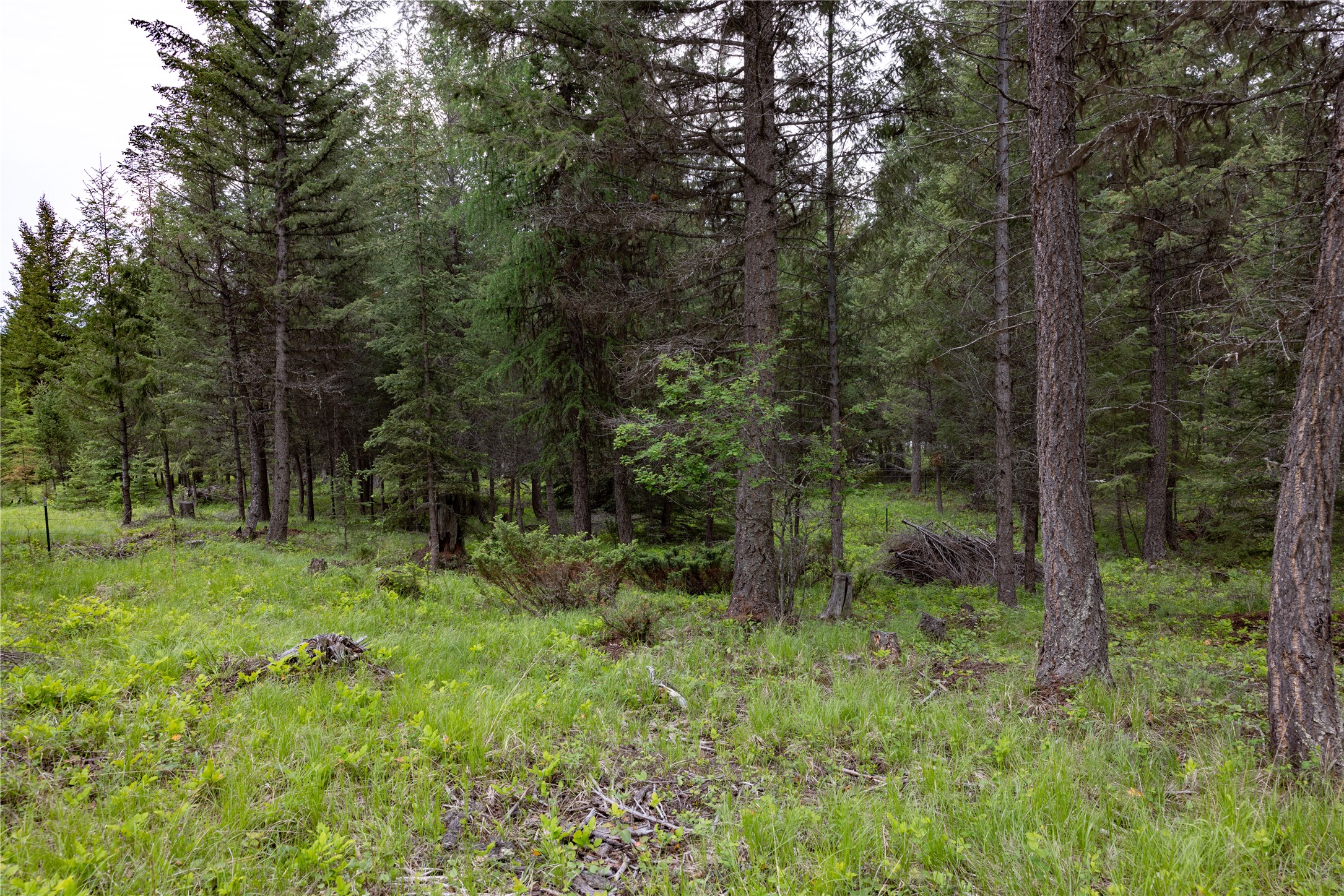 4736 Sinclair Creek Drive