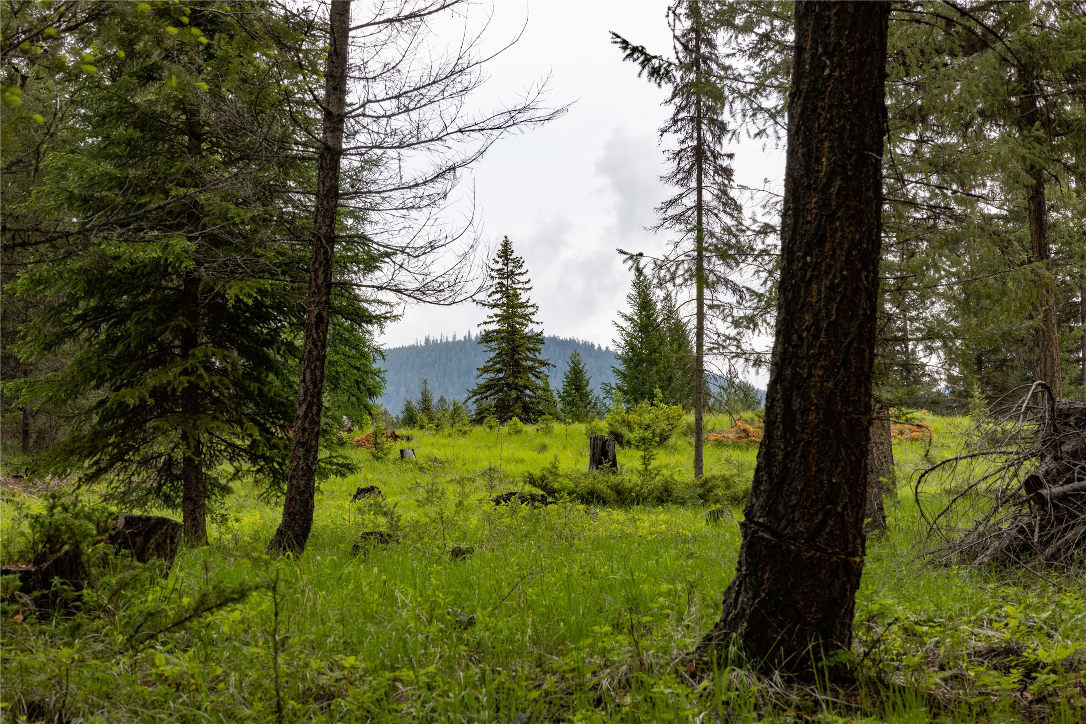 4736 Sinclair Creek Drive