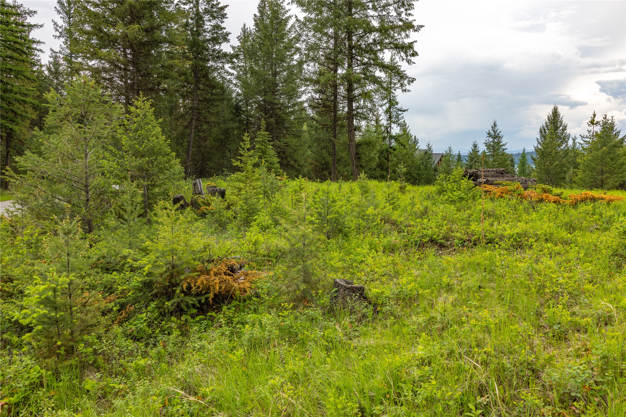 4736 Sinclair Creek Drive