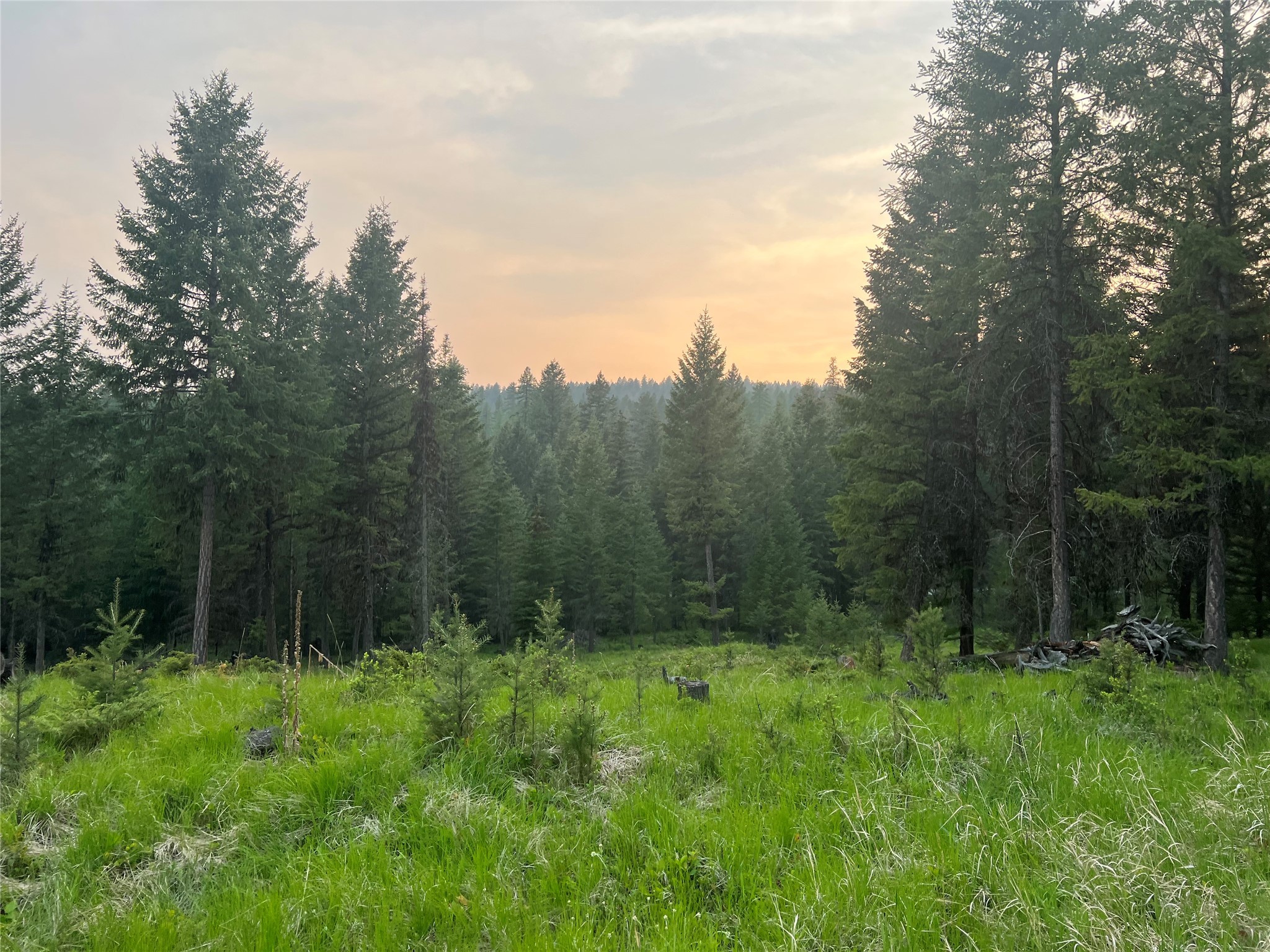 4736 Sinclair Creek Drive