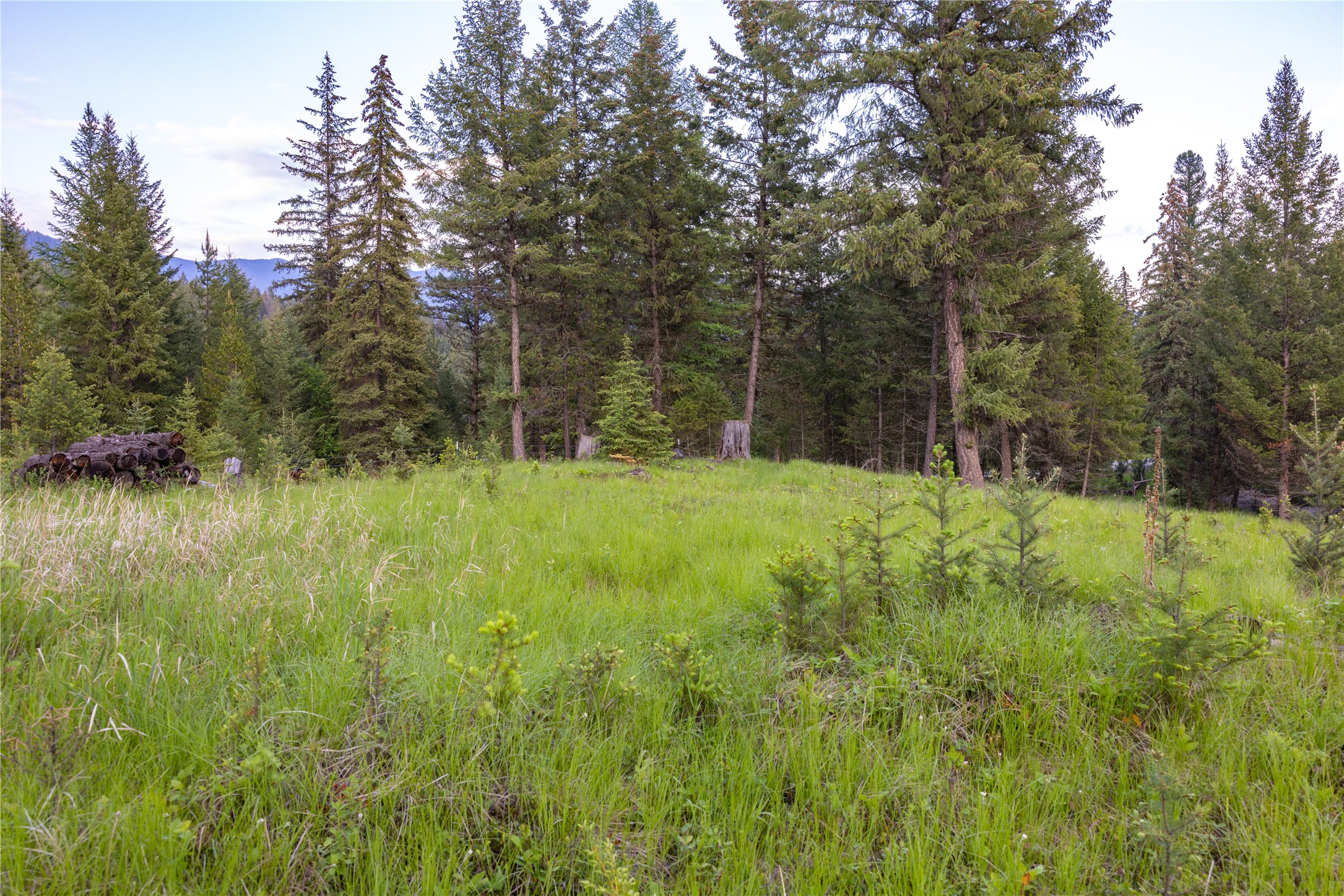 4736 Sinclair Creek Drive