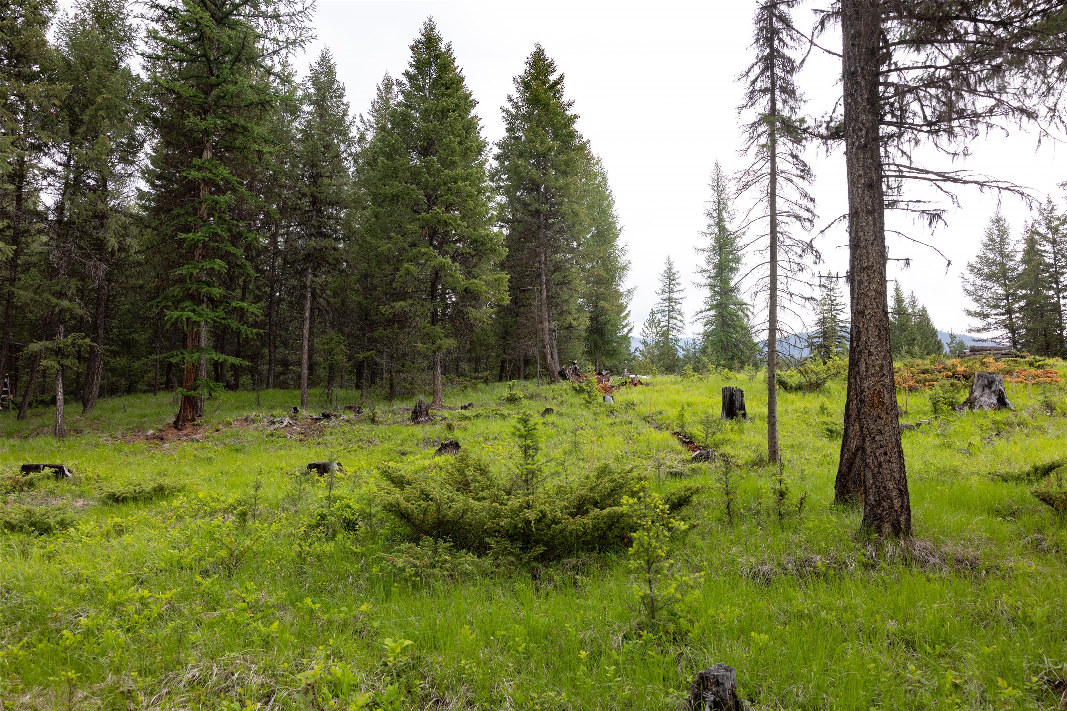 4736 Sinclair Creek Drive