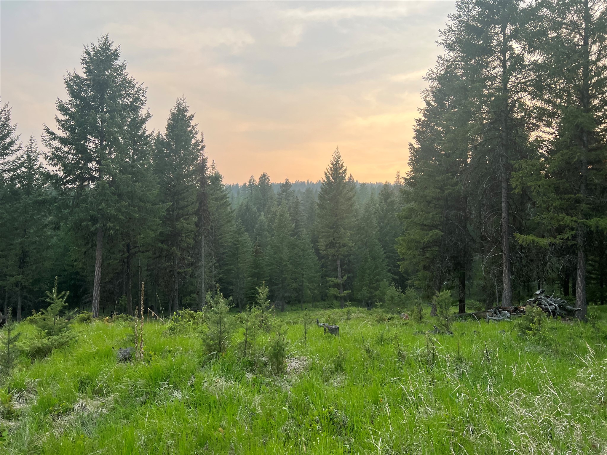 4736 Sinclair Creek Drive