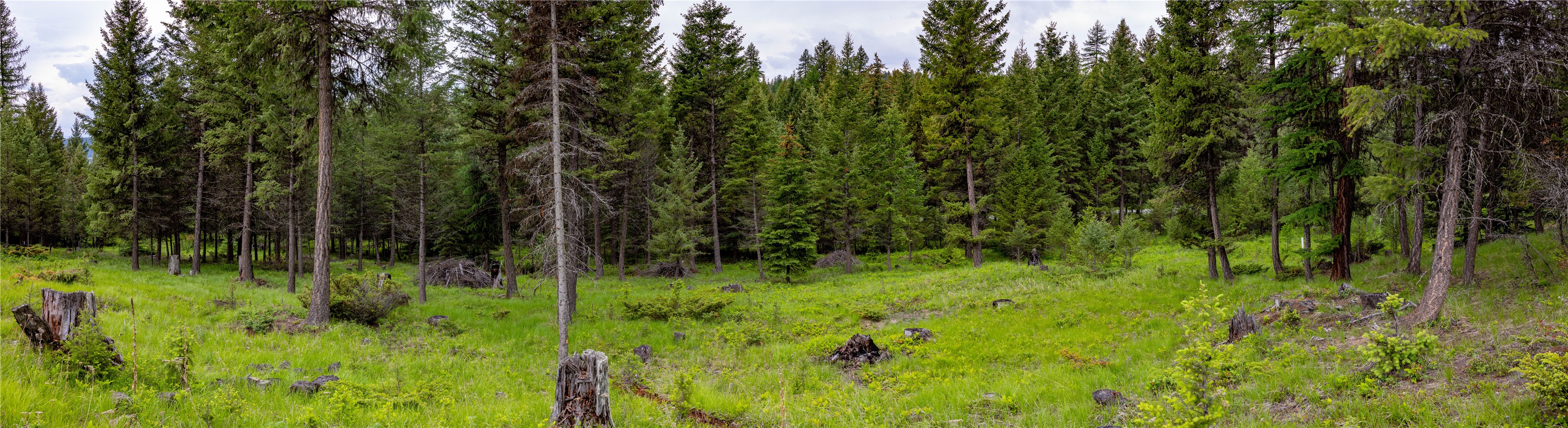 4736 Sinclair Creek Drive