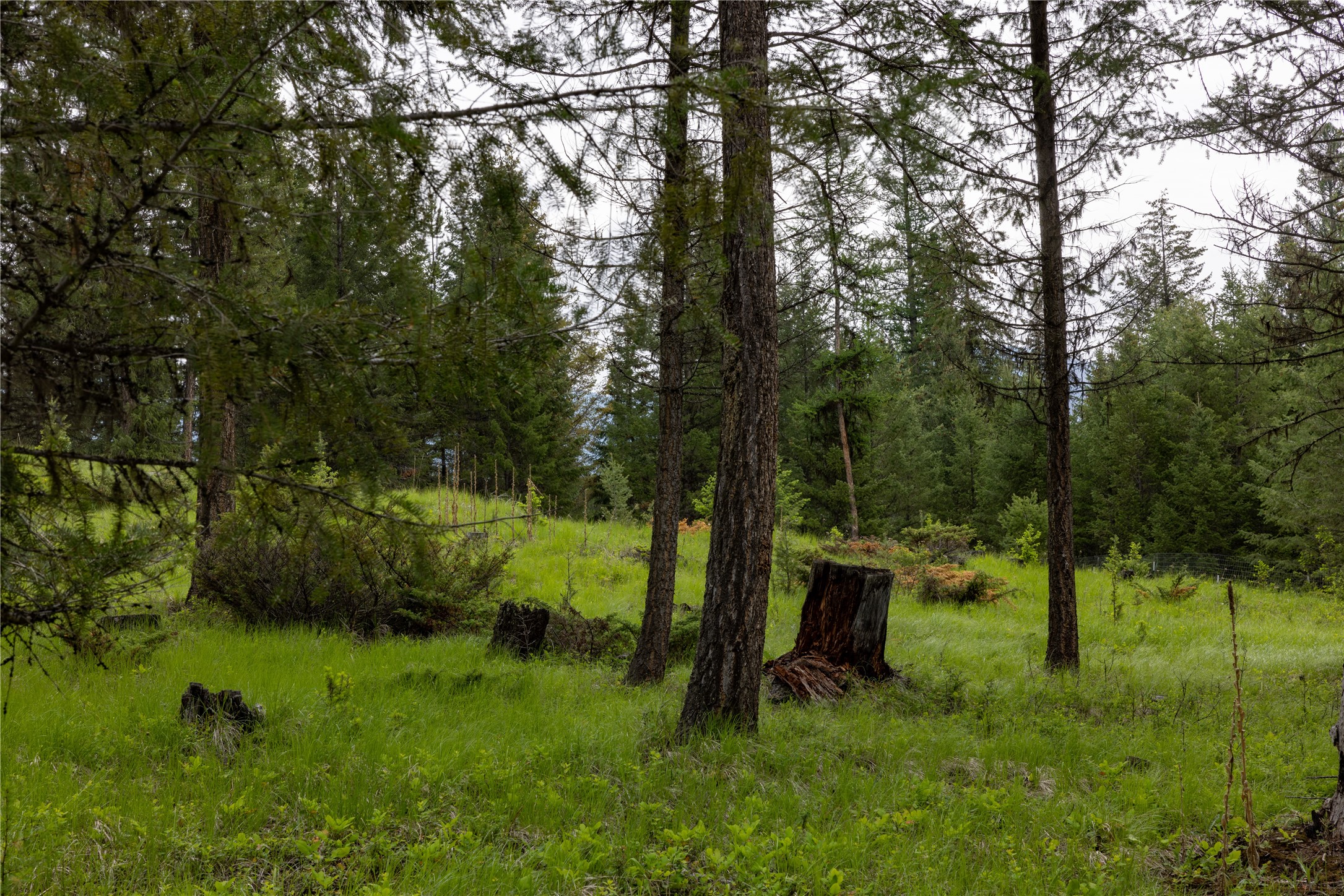 4736 Sinclair Creek Drive