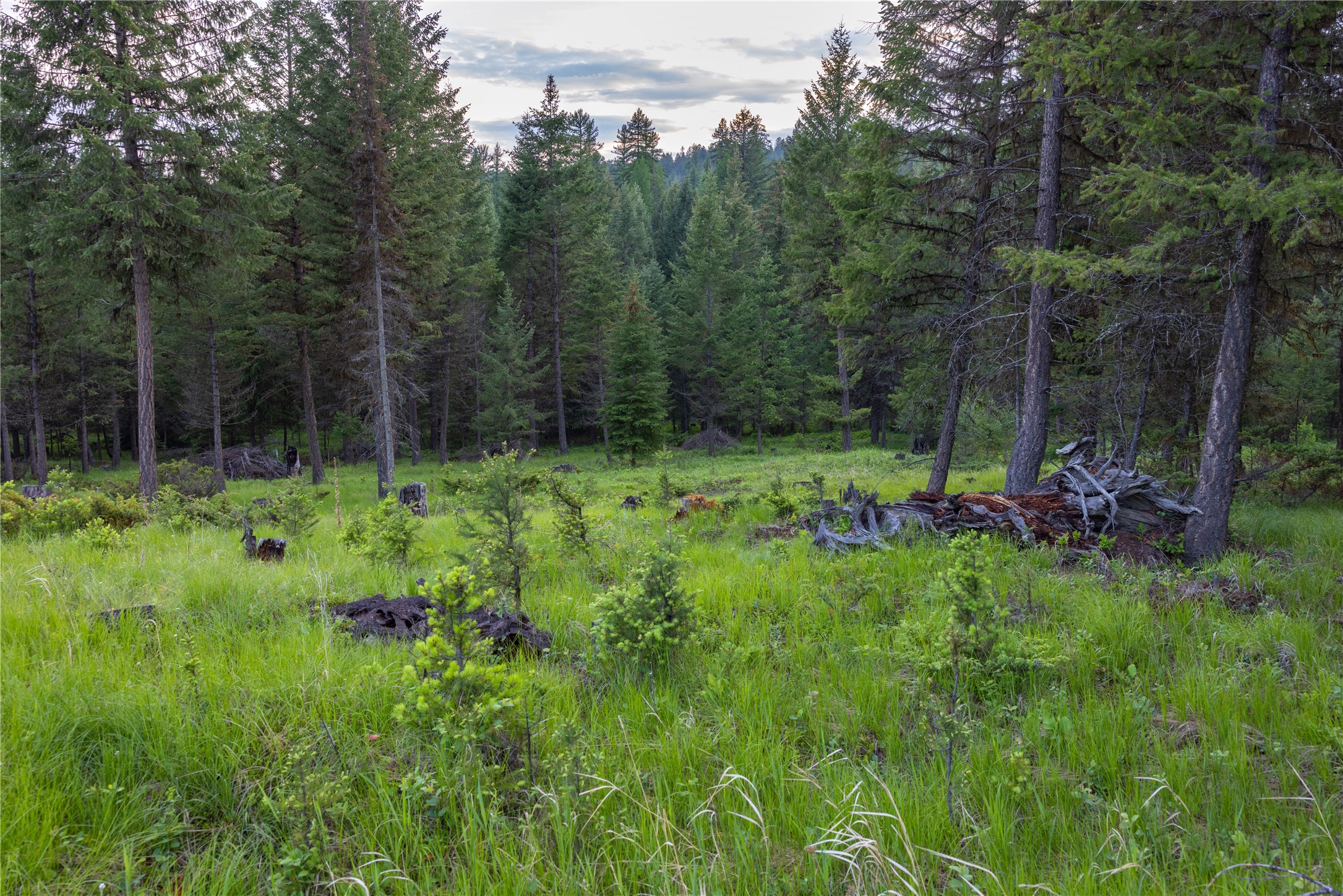 4736 Sinclair Creek Drive