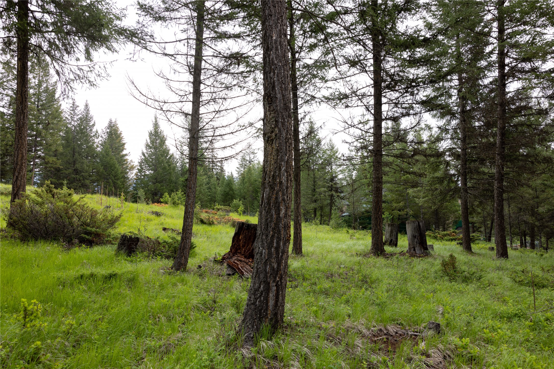 4736 Sinclair Creek Drive