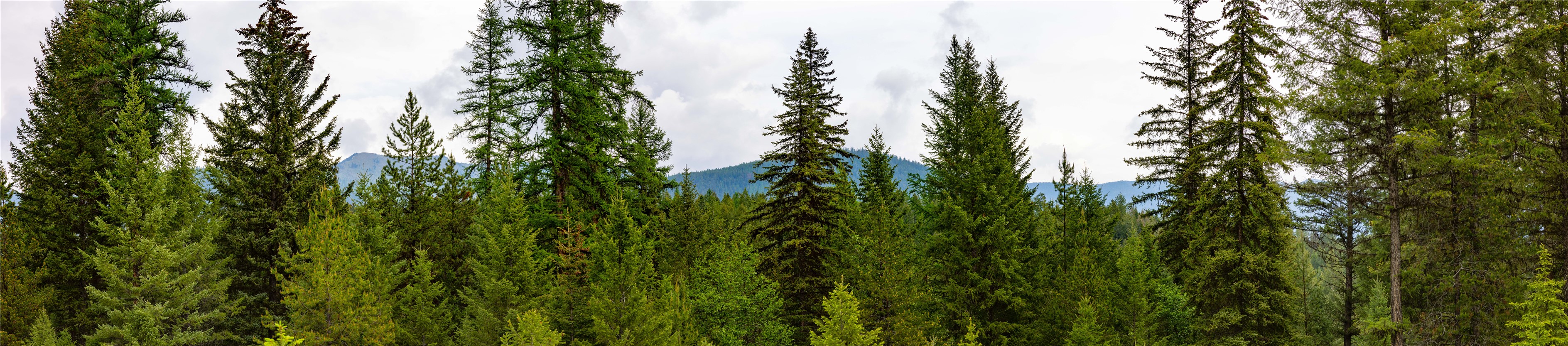 4736 Sinclair Creek Drive