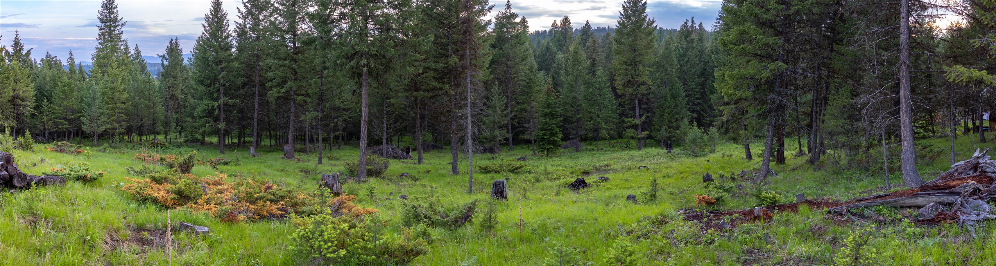 4736 Sinclair Creek Drive