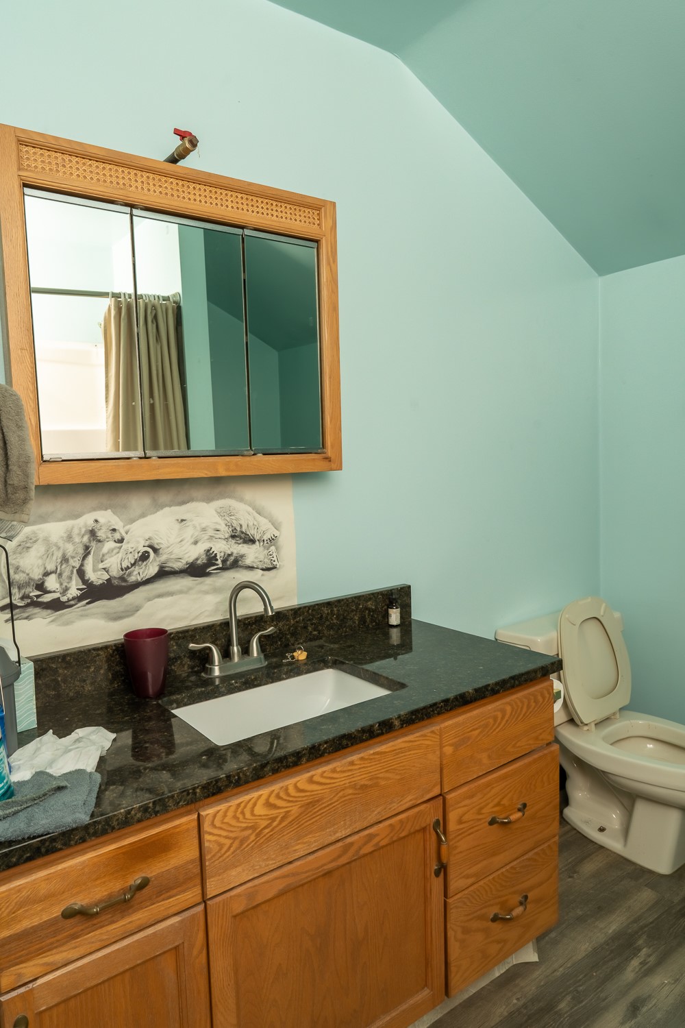 738 Rocky Mountain Trail