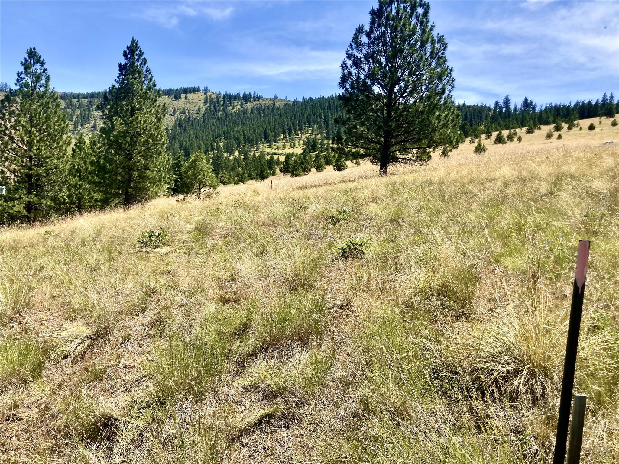 Tract 1 Deemer Ridge Road