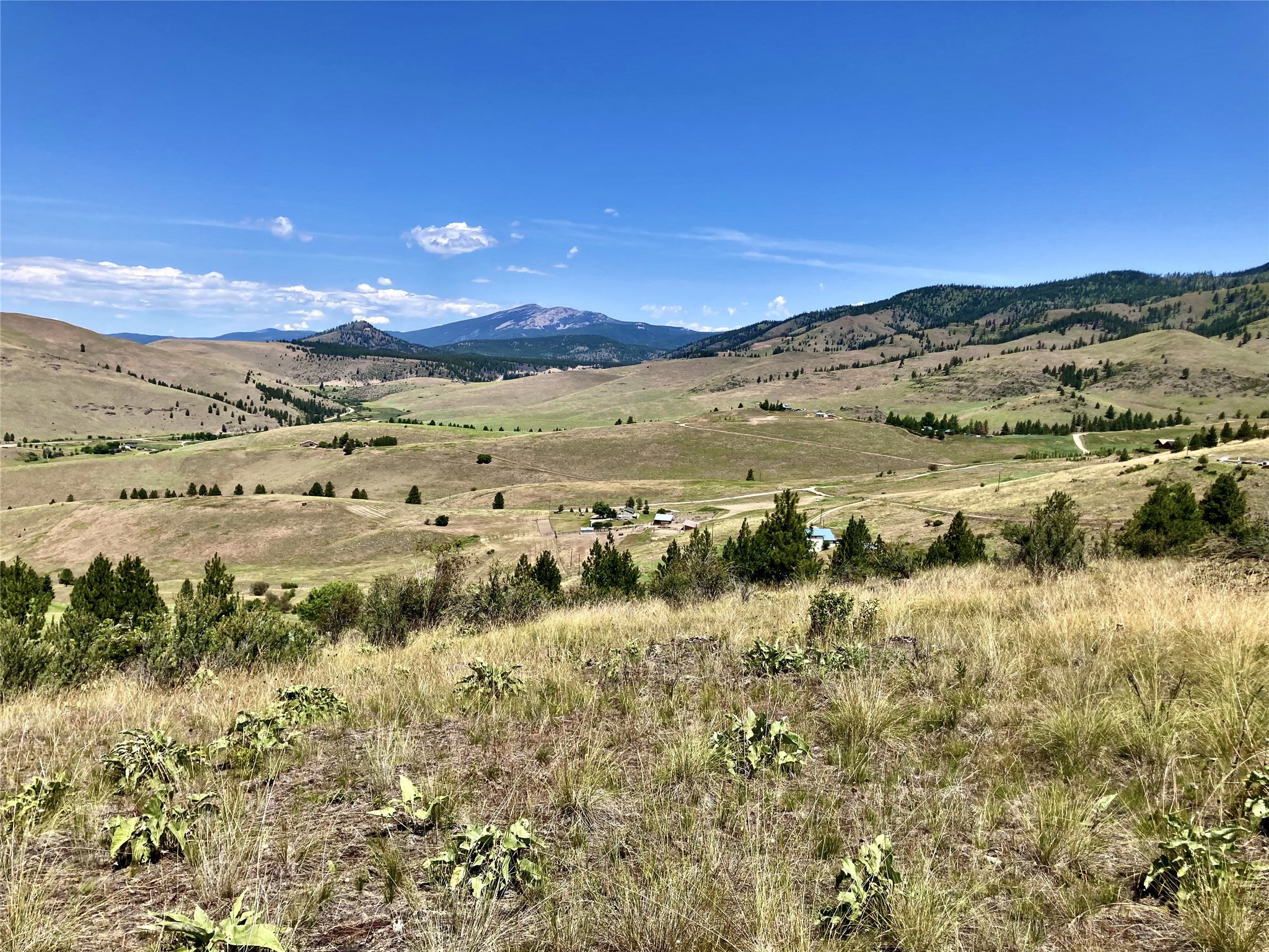 Tract 1 Deemer Ridge Road