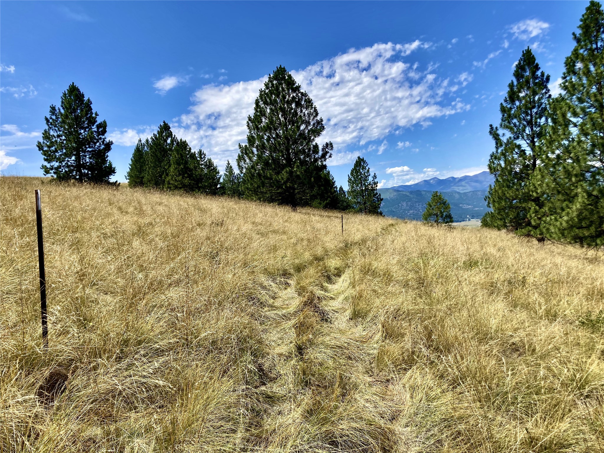 Tract 1 Deemer Ridge Road