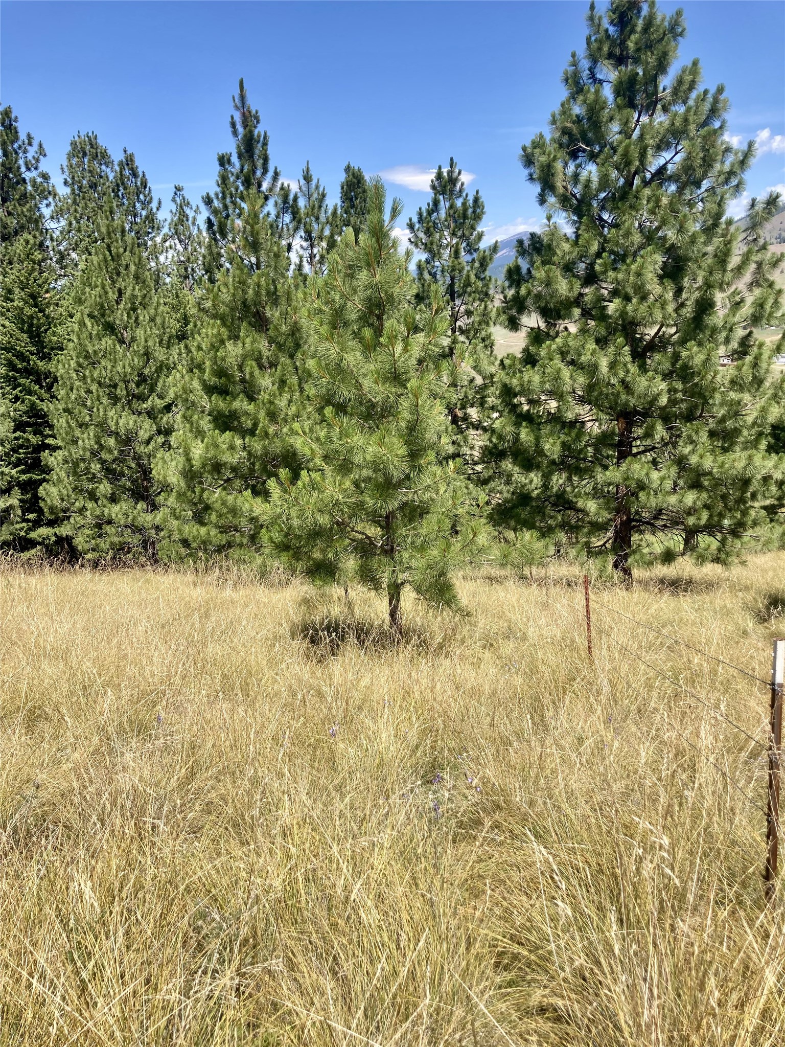 Tract 1 Deemer Ridge Road